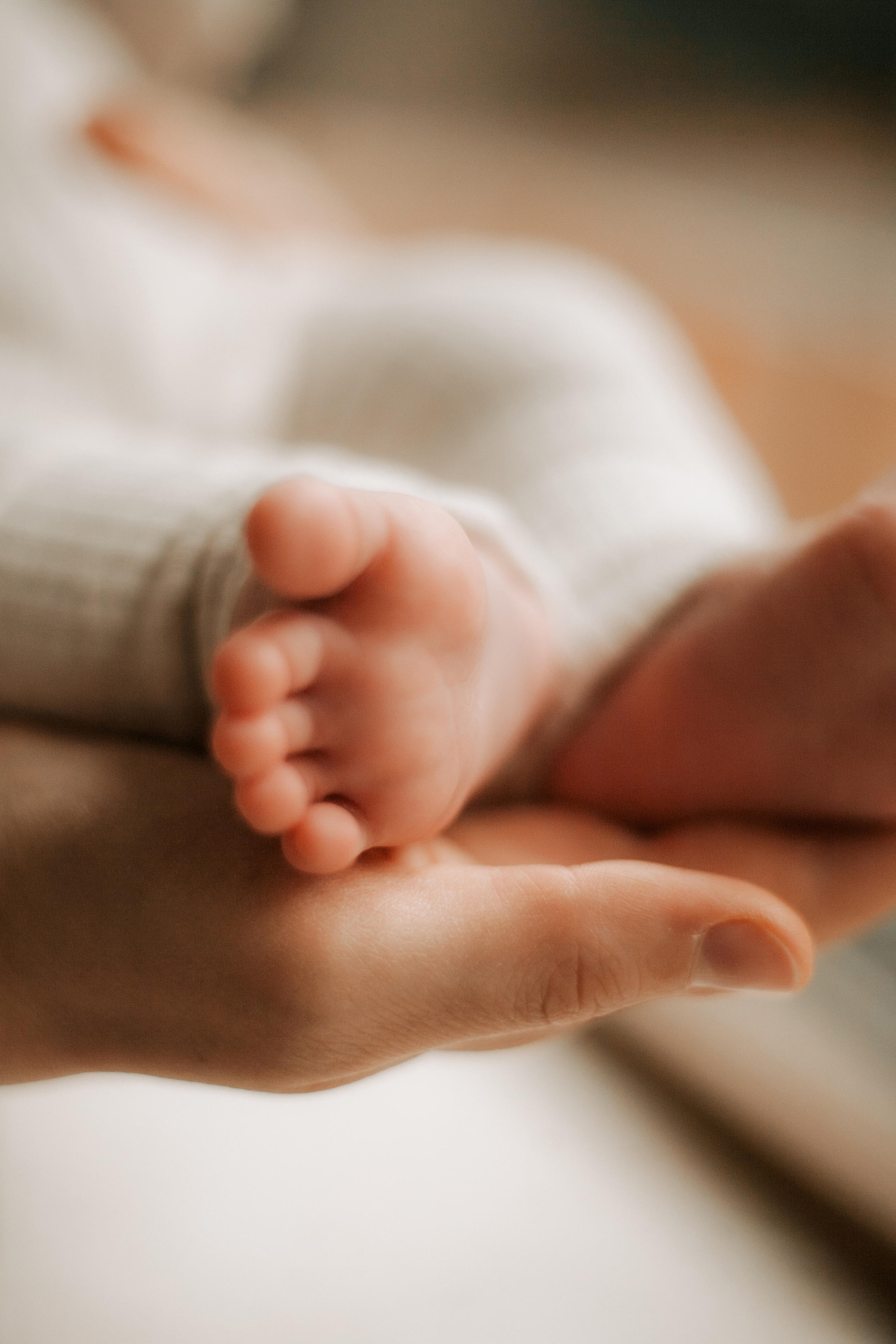 Newborn. Lara Ilin Photography