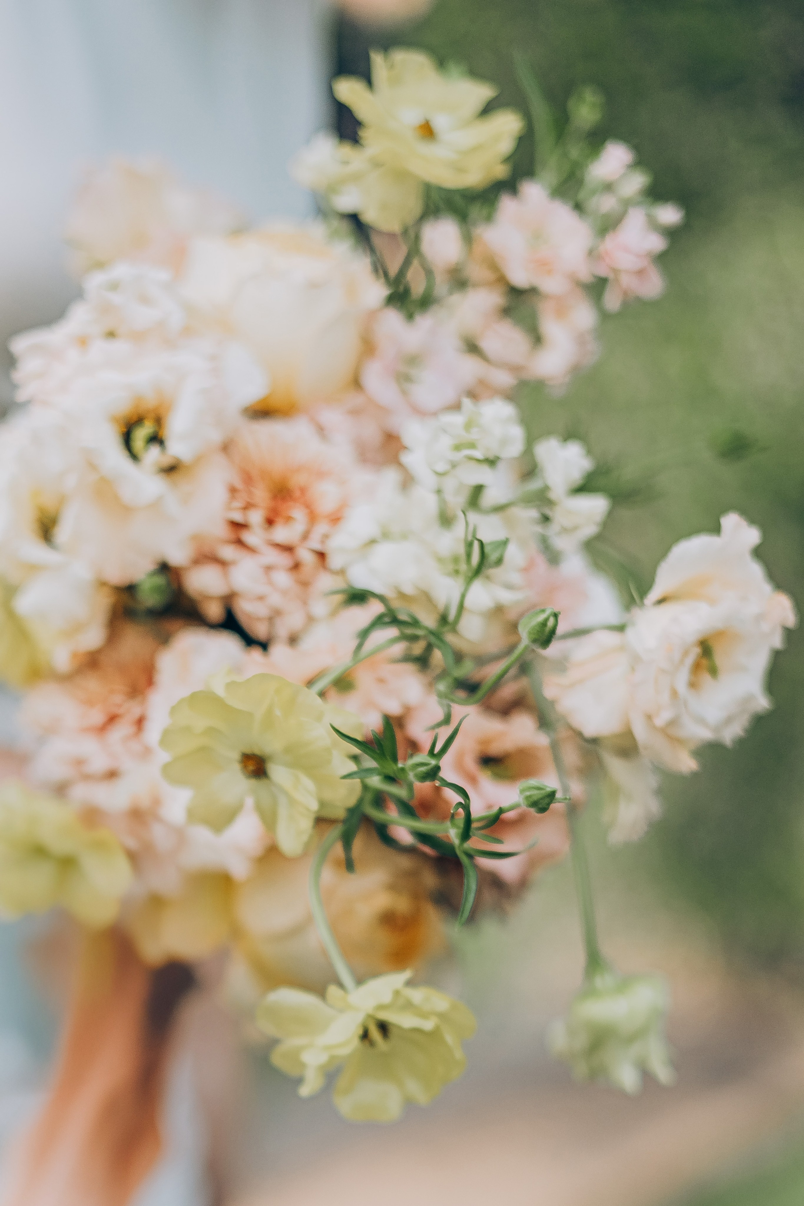 In finca. Фотограф у Пальма де Майорка