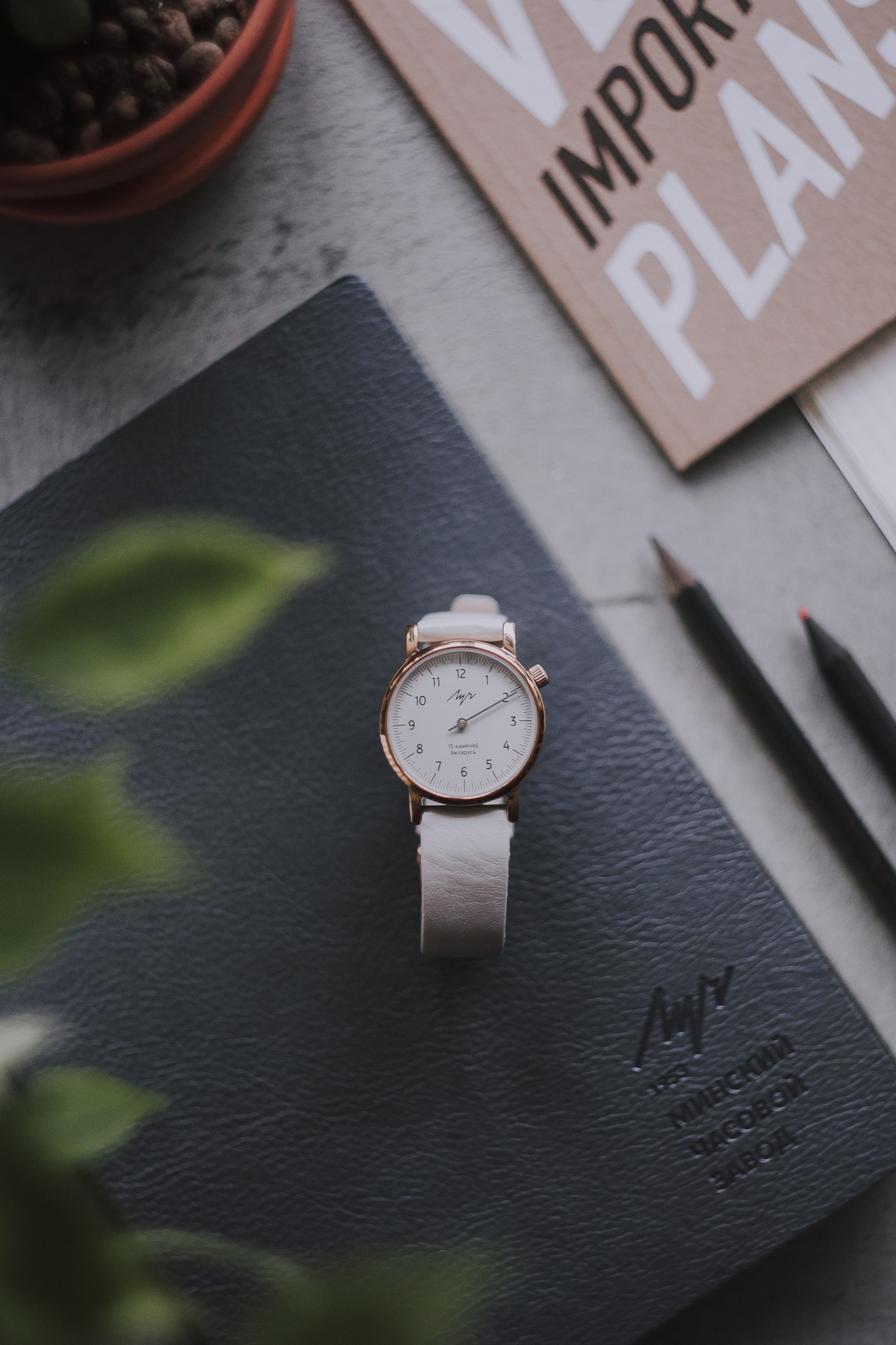 LUCH | Product photography for Minsk Watch Plant. Photographer in Los Angeles. Julia Ishmuratova