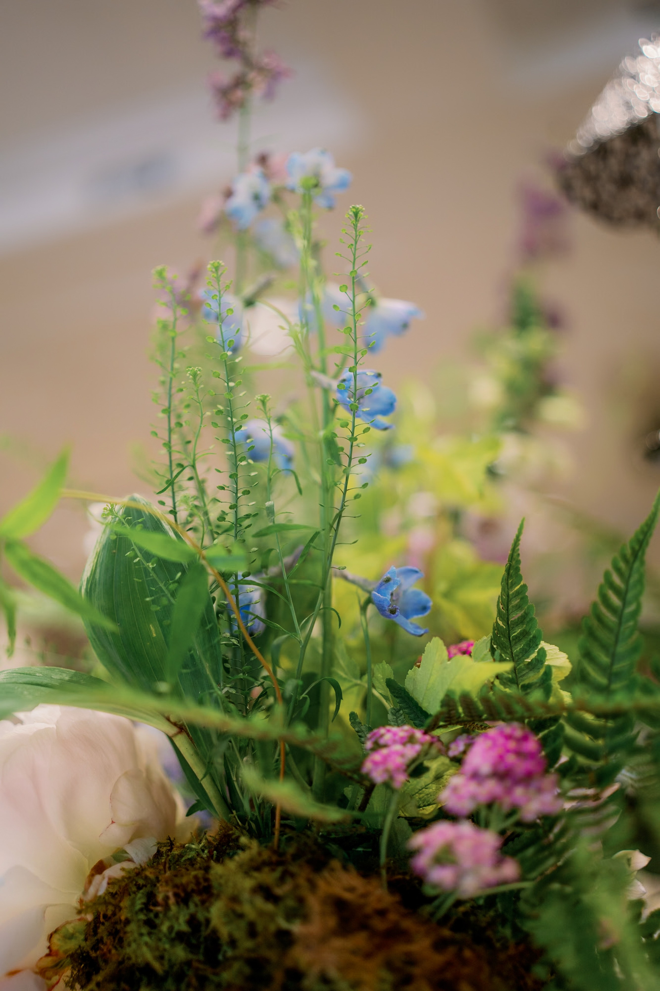 Carolyn & Matthew. Wedding Photography & Videography San Francisco, Sacramento