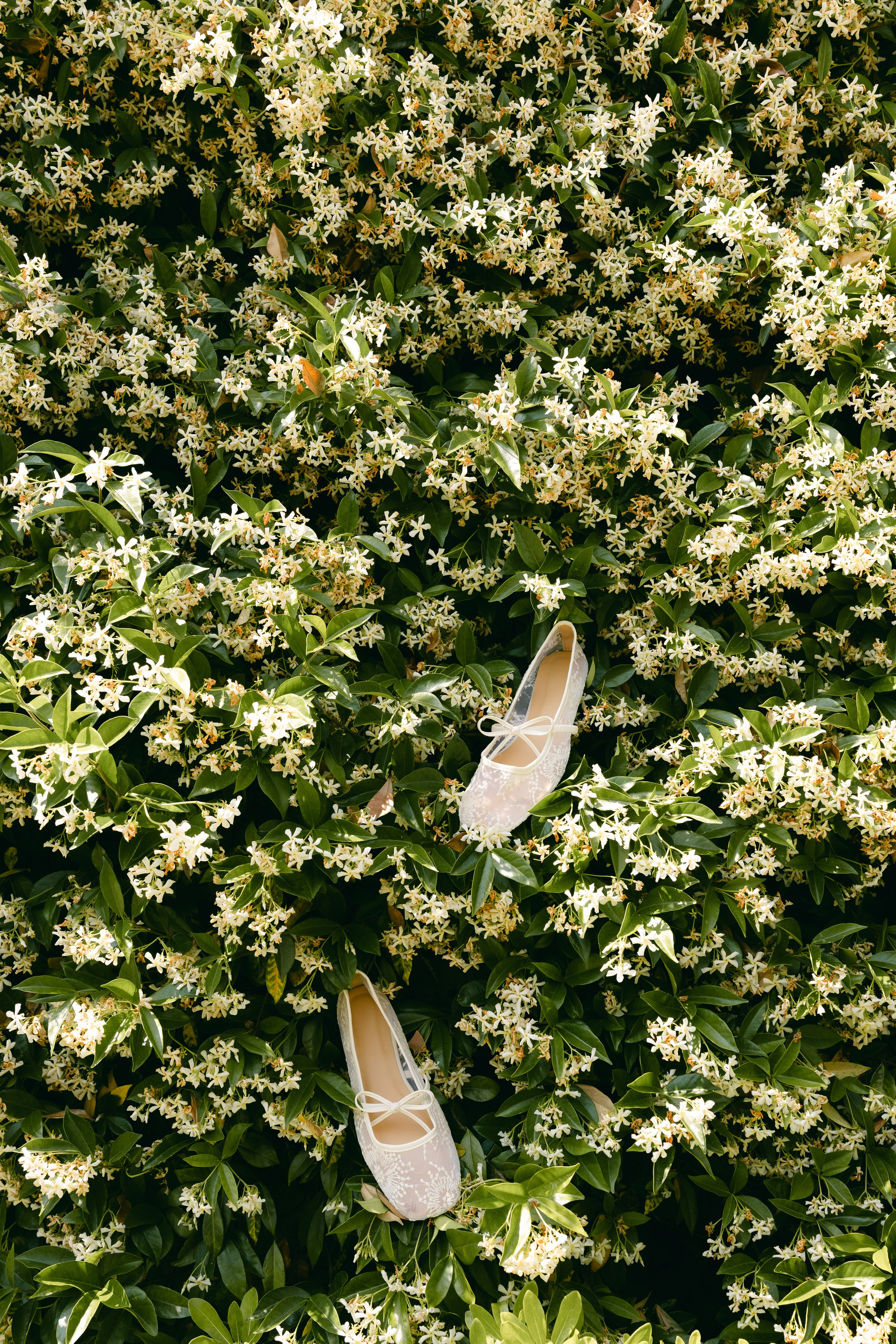 Wedding in Italy — Catello di Tassara