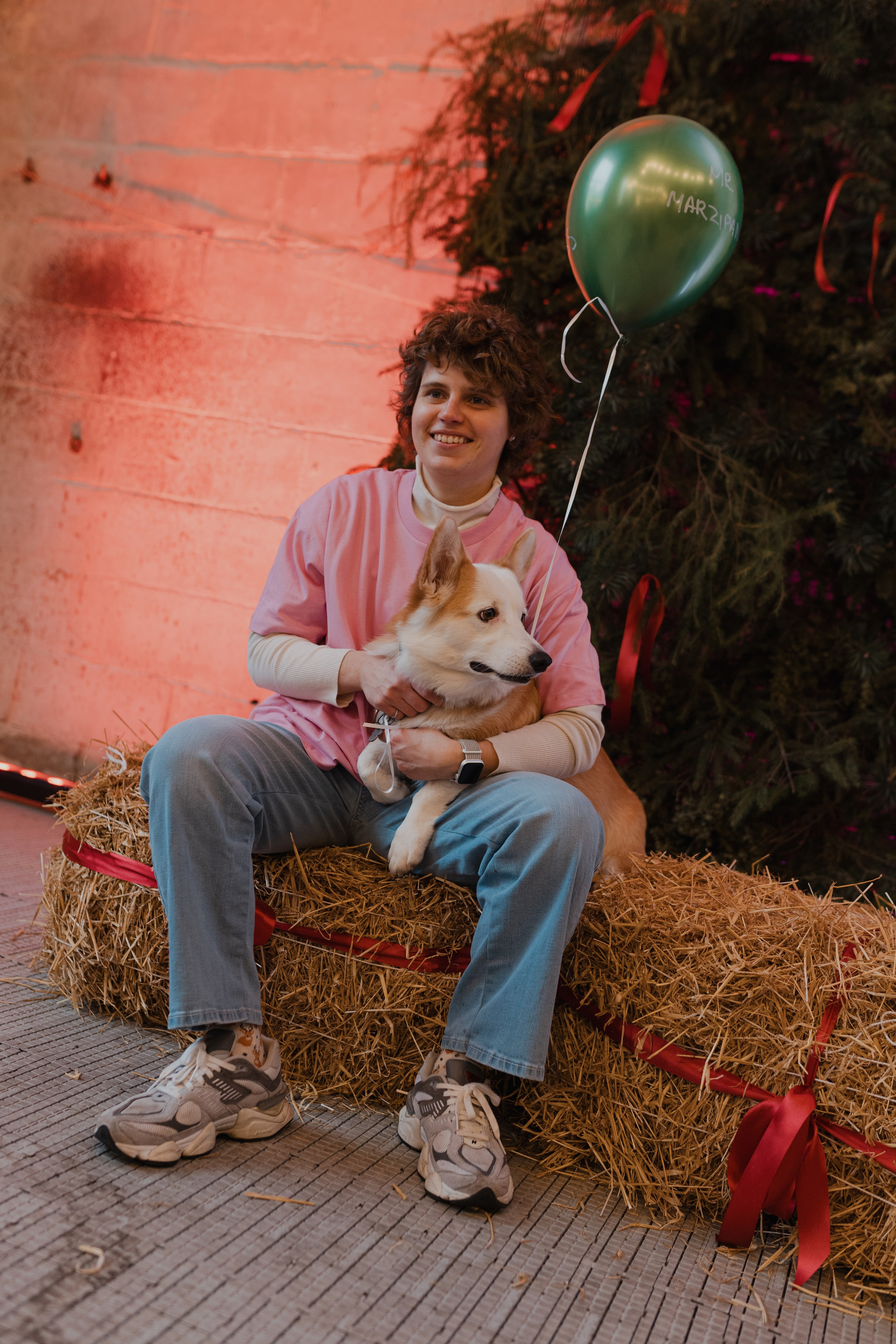 Corgi fest. Event Photography