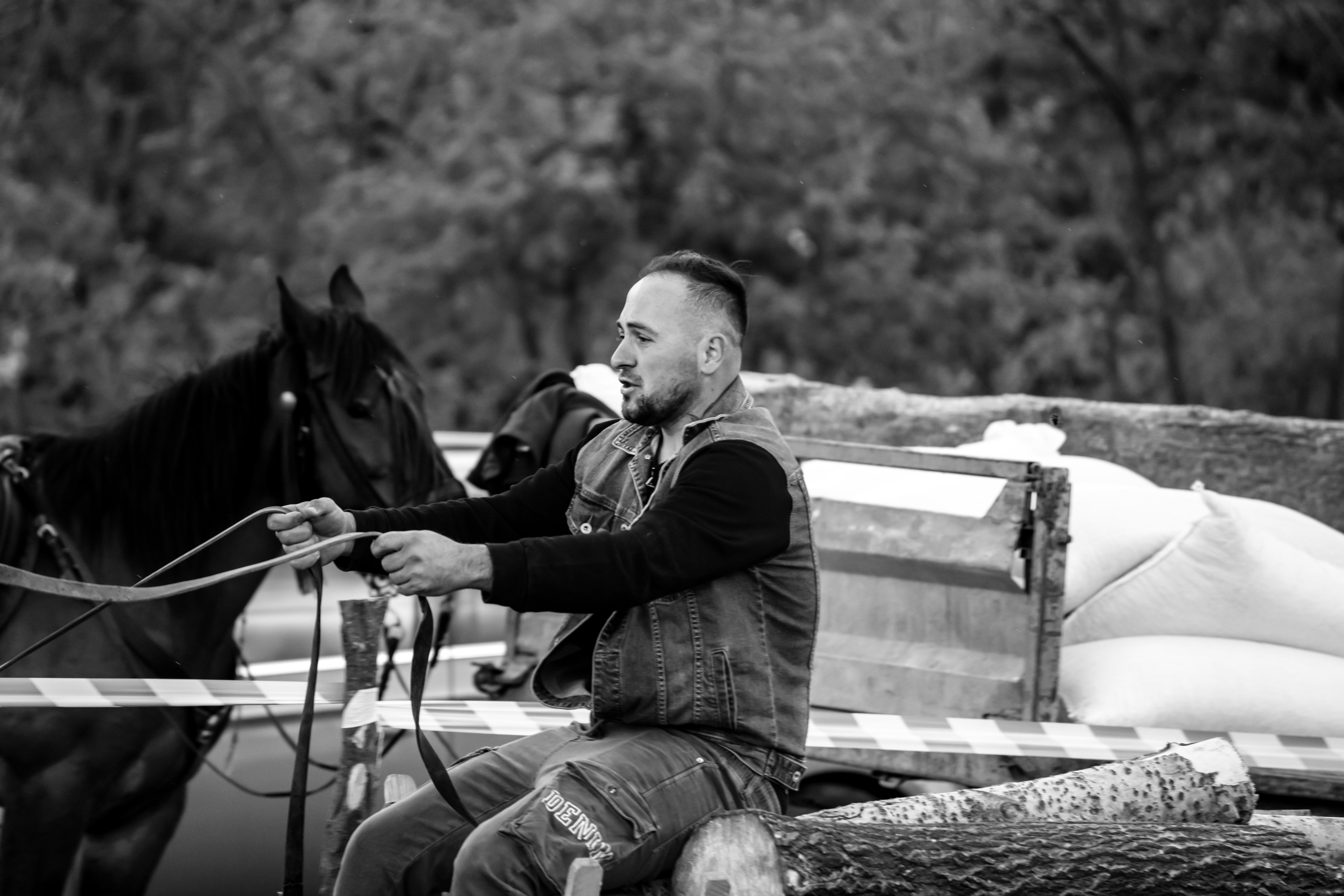 Concurs Ecvestru Vărbilău ediția a 4-a. Mihai Alexandra Events