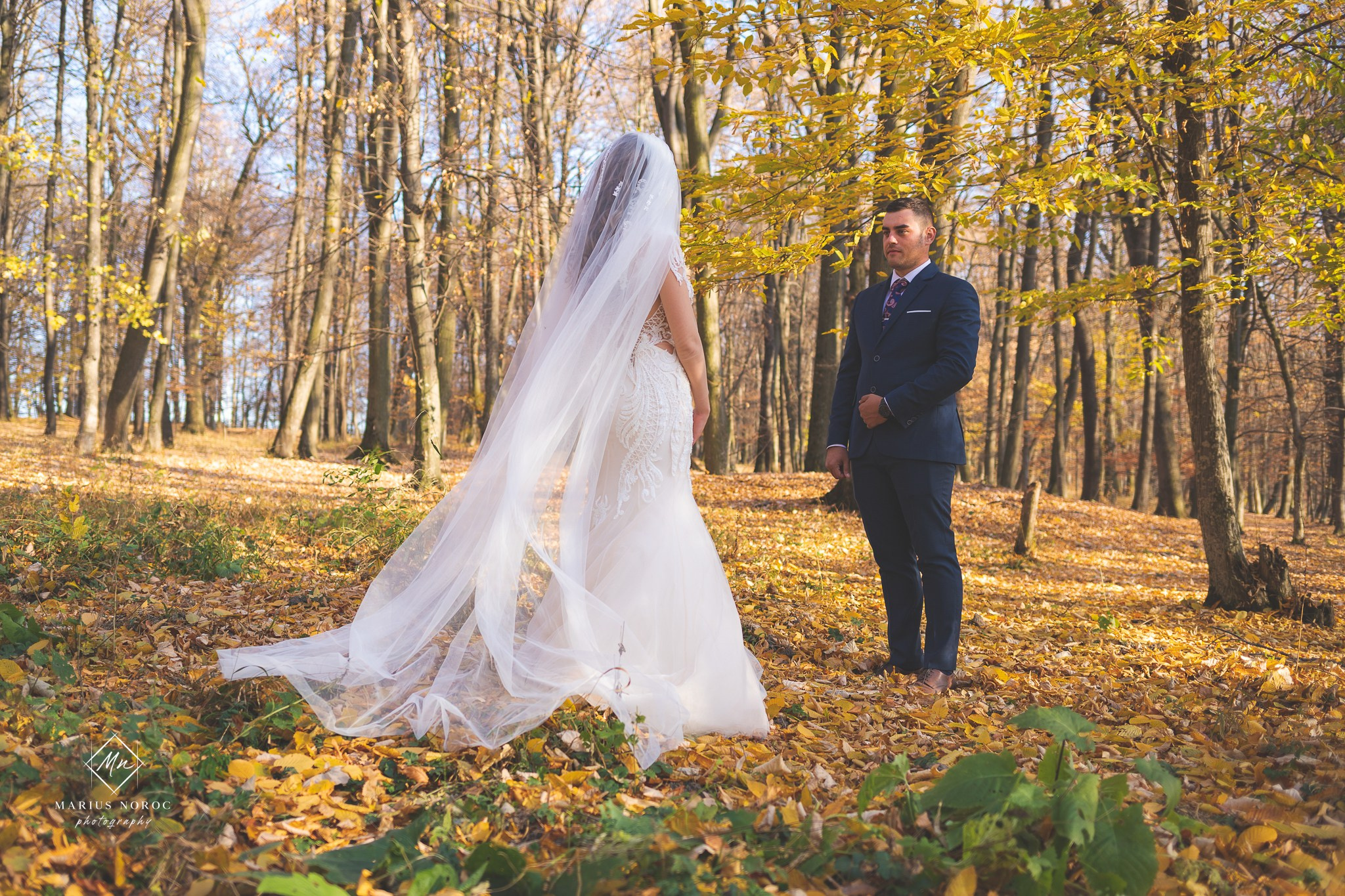 Alexandra & Alin | Padurea Bucium Iasi