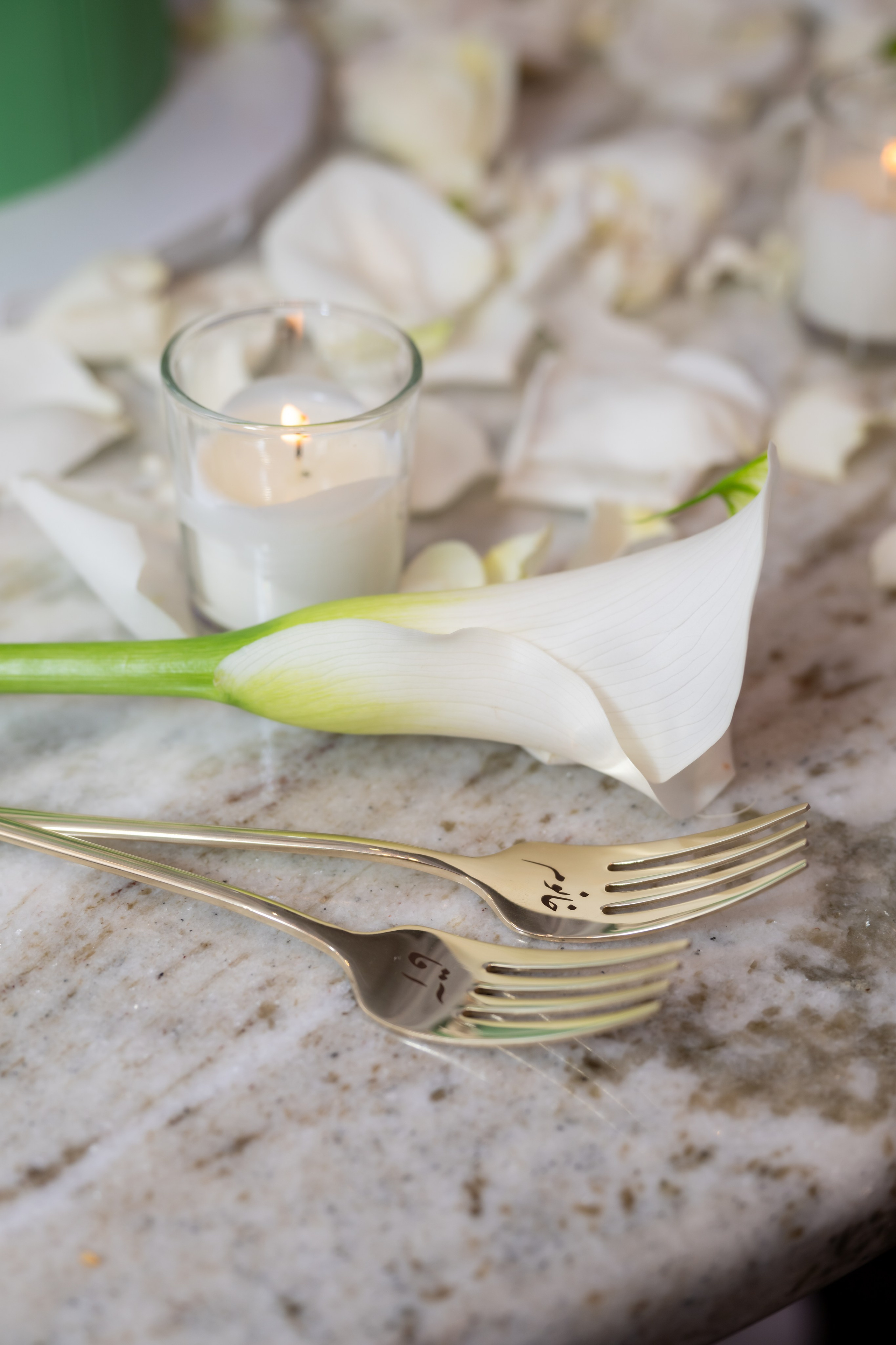 Mandana & Babak. Wedding Photo & Video