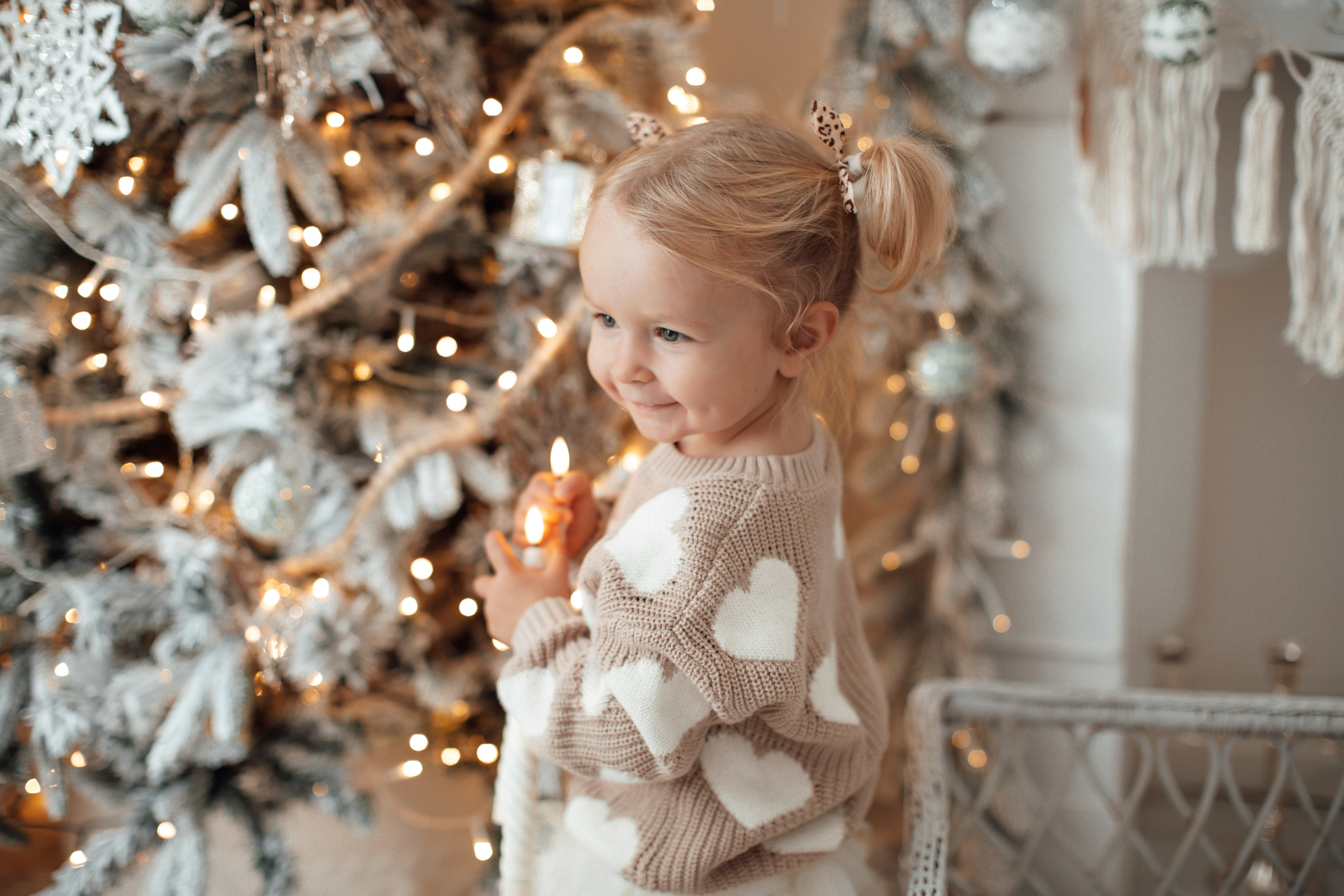 Julfotografering 2025🎄🎄🎄. Axlundphotography.se