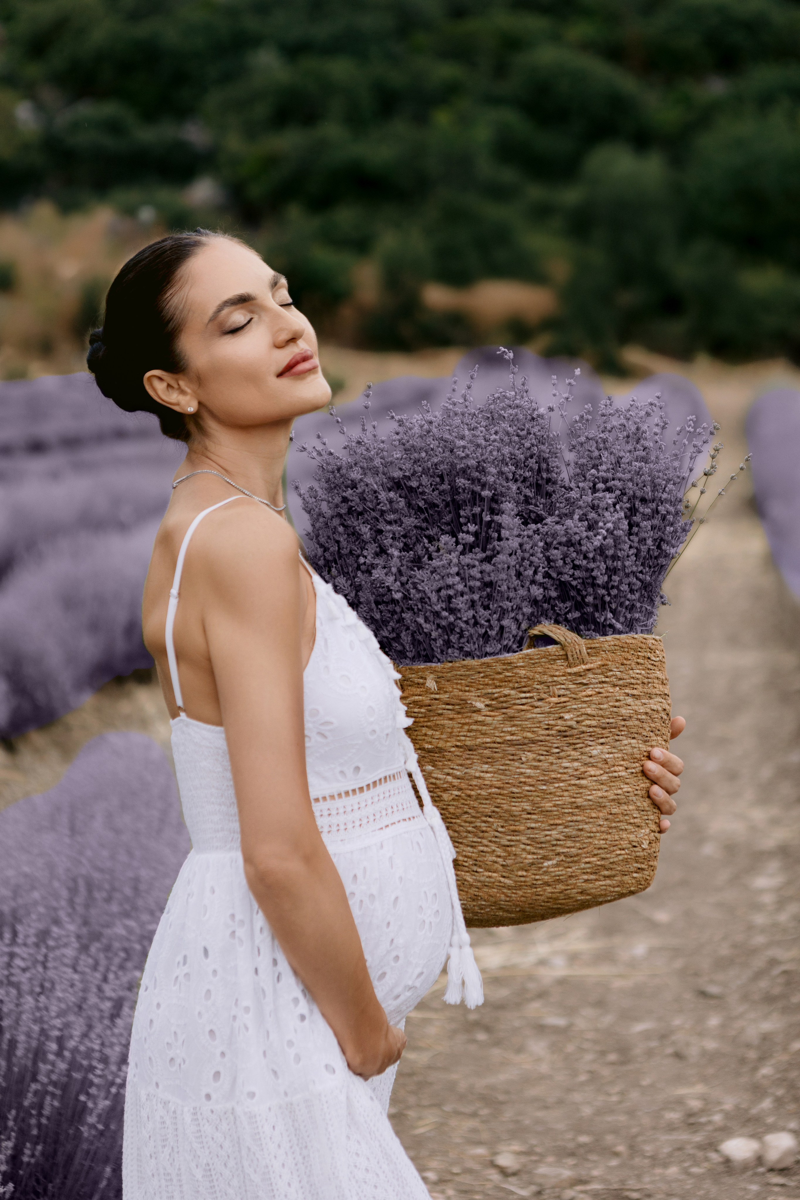 Лаванда. Фотограф в Анталии, Кемере и Белеке