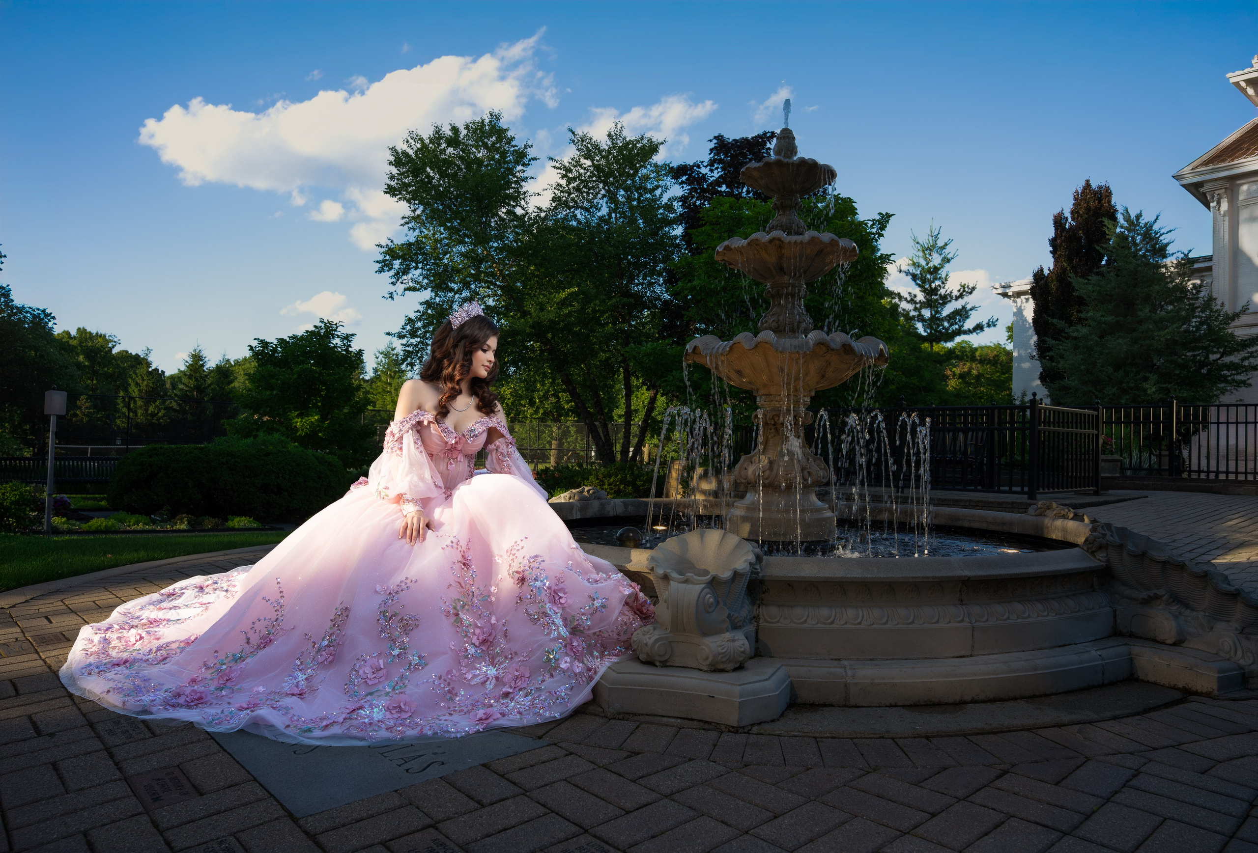 BRIANY XV. Quinceañera y Bodas