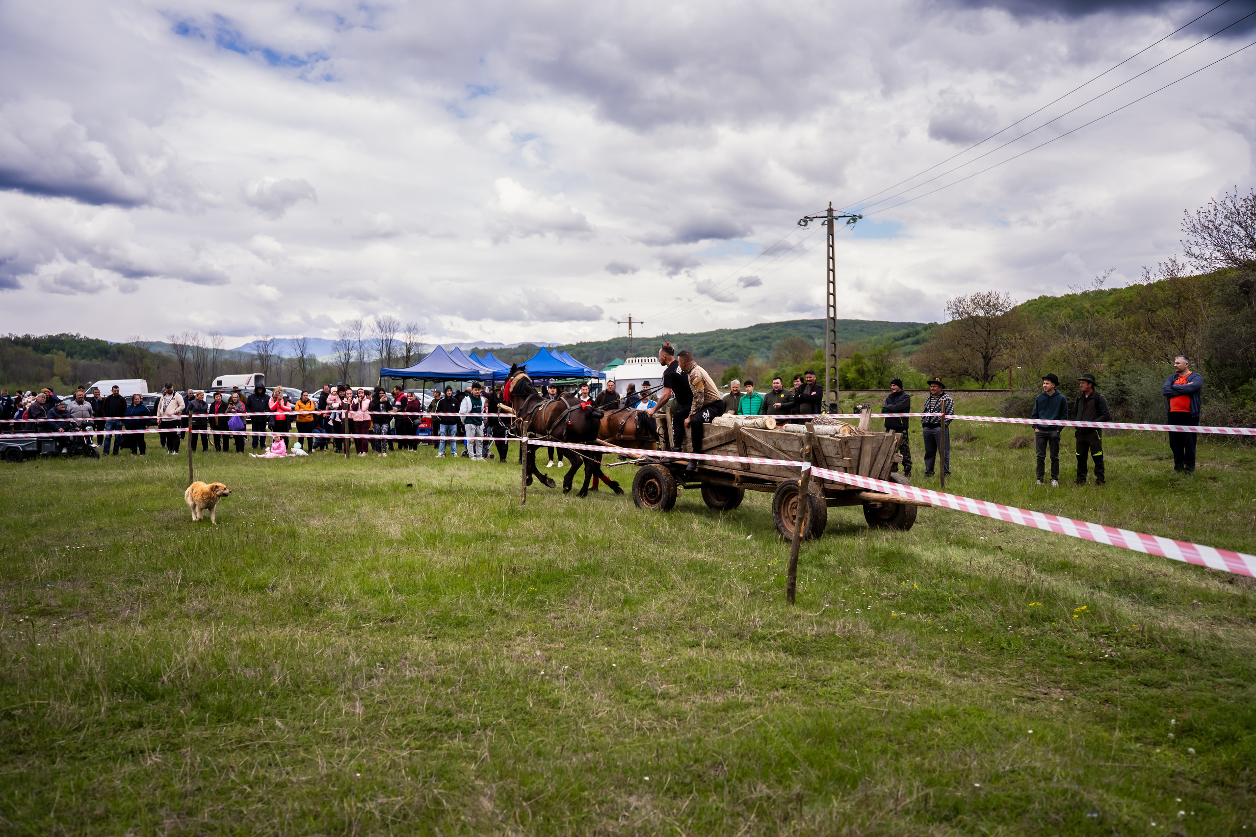 Concurs Ecvestru Vărbilău ediția a 4-a. Mihai Alexandra Events