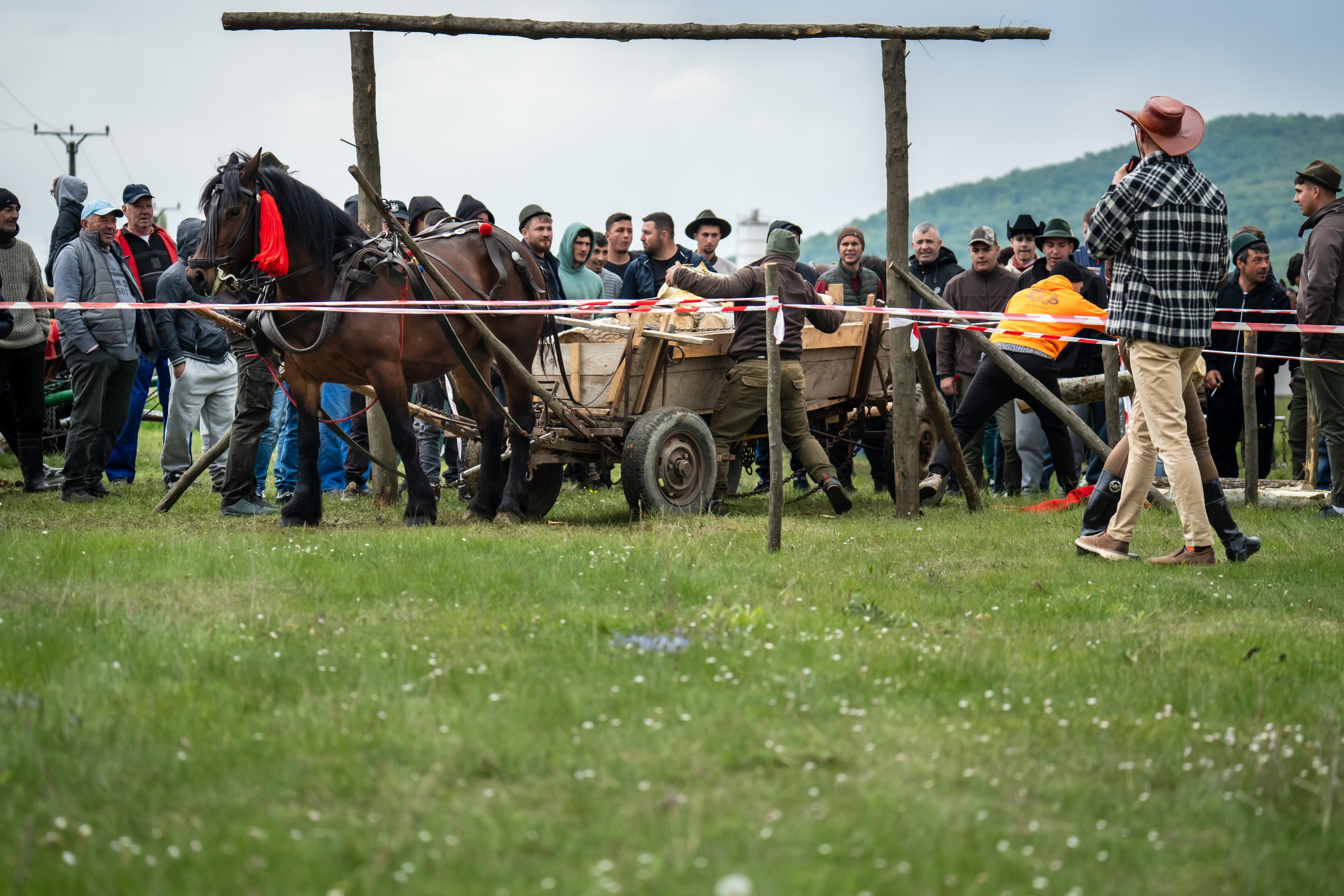 Concurs Ecvestru Vărbilău ediția a 4-a. Mihai Alexandra Events