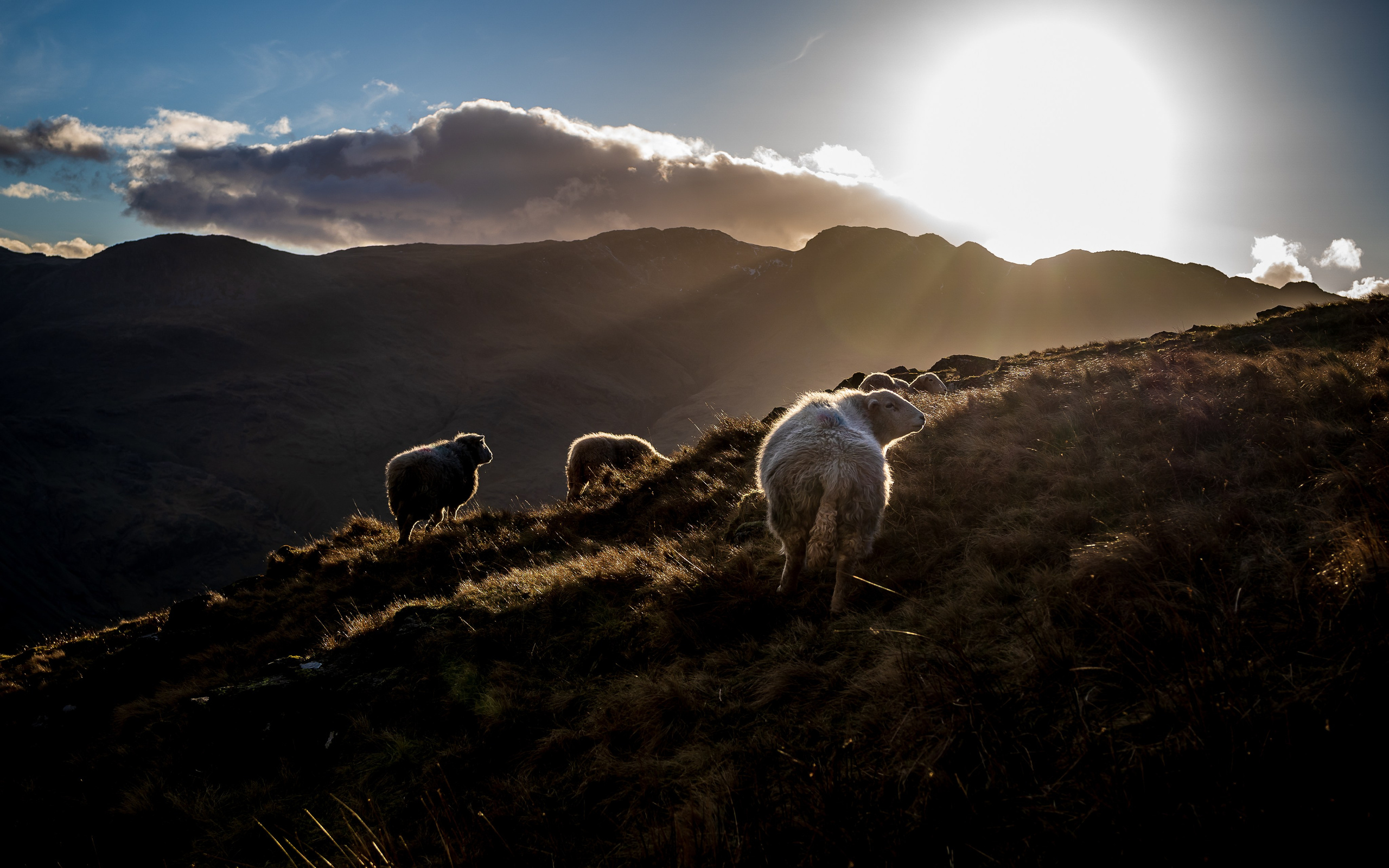 Expect Miracles Photography