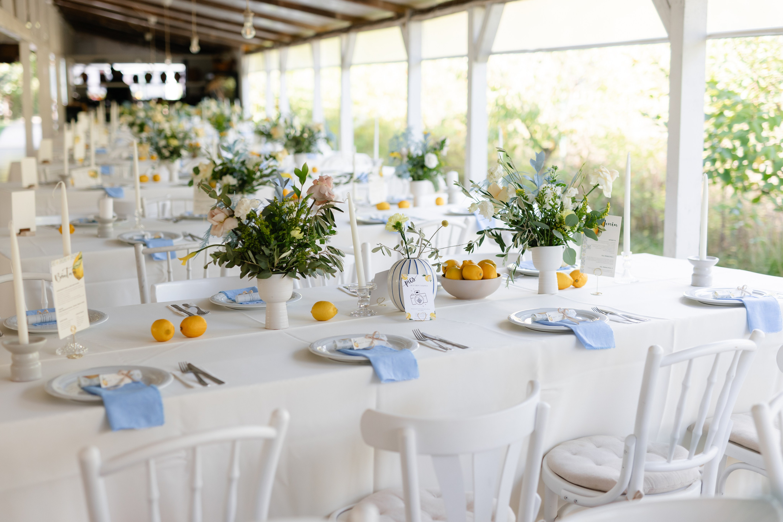 Natalia & Costin. Main