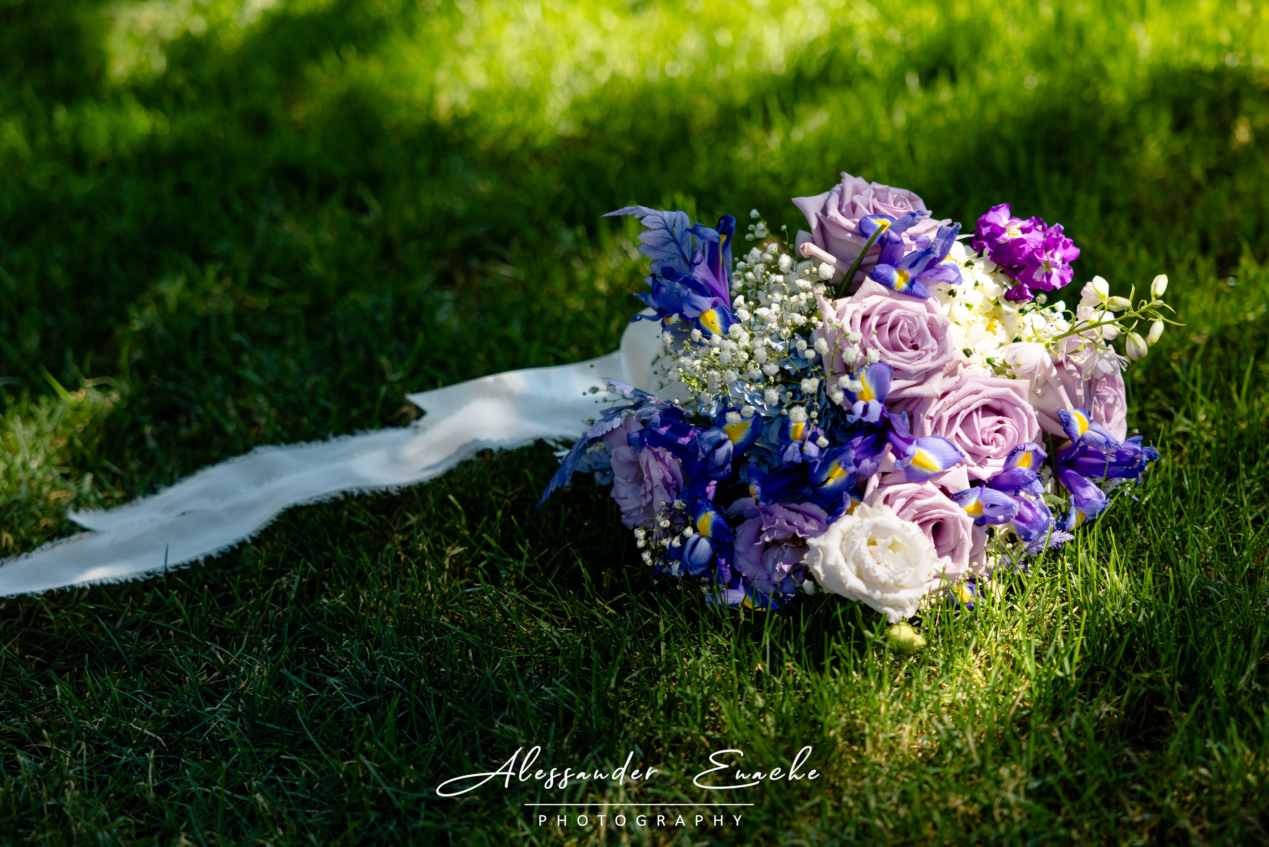Andrei & Alexandra. Alessander Enache–Fotograf de Nuntă Piatra Neamț