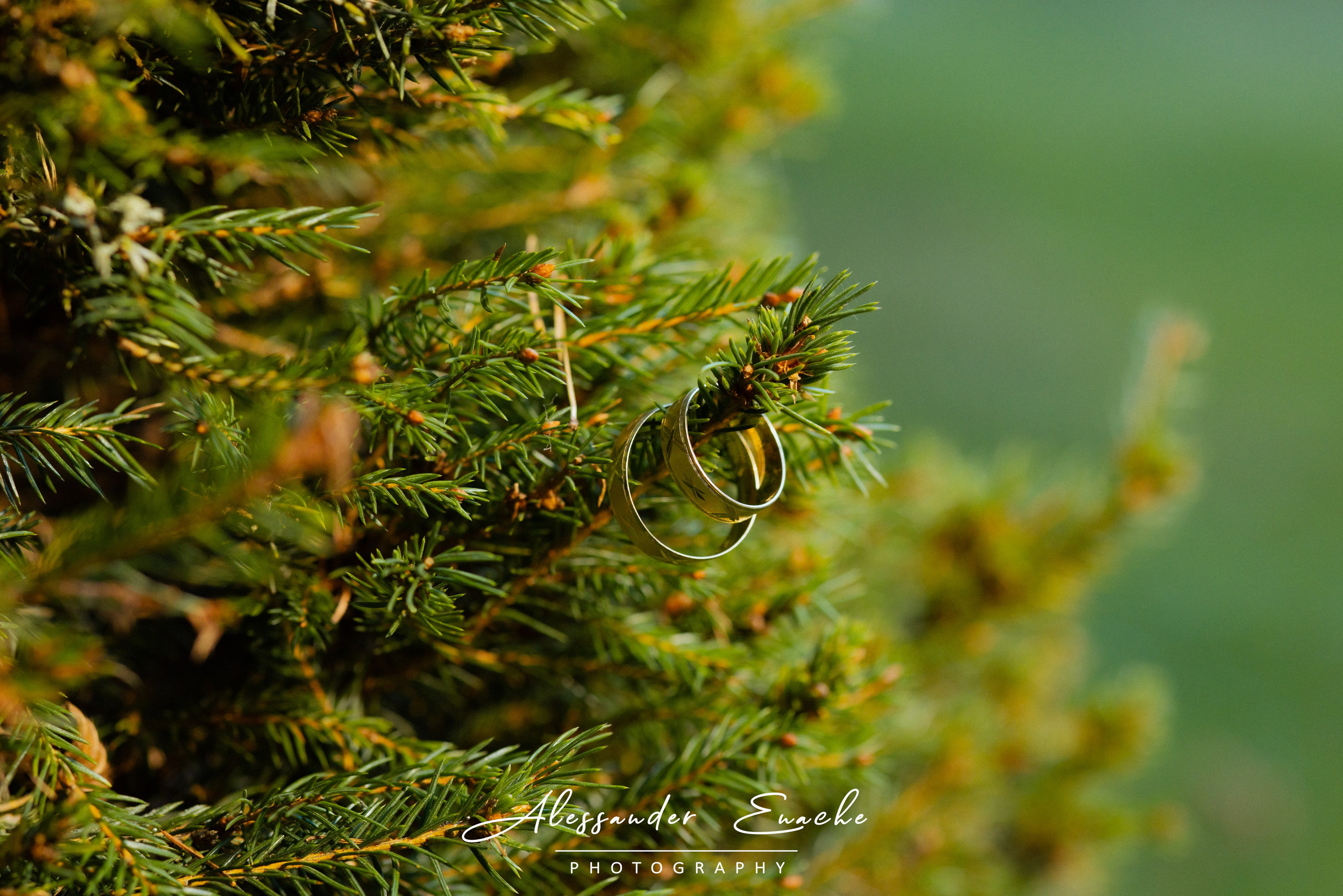 Andrei & Denisa. Alessander Enache–Fotograf de Nuntă Piatra Neamț