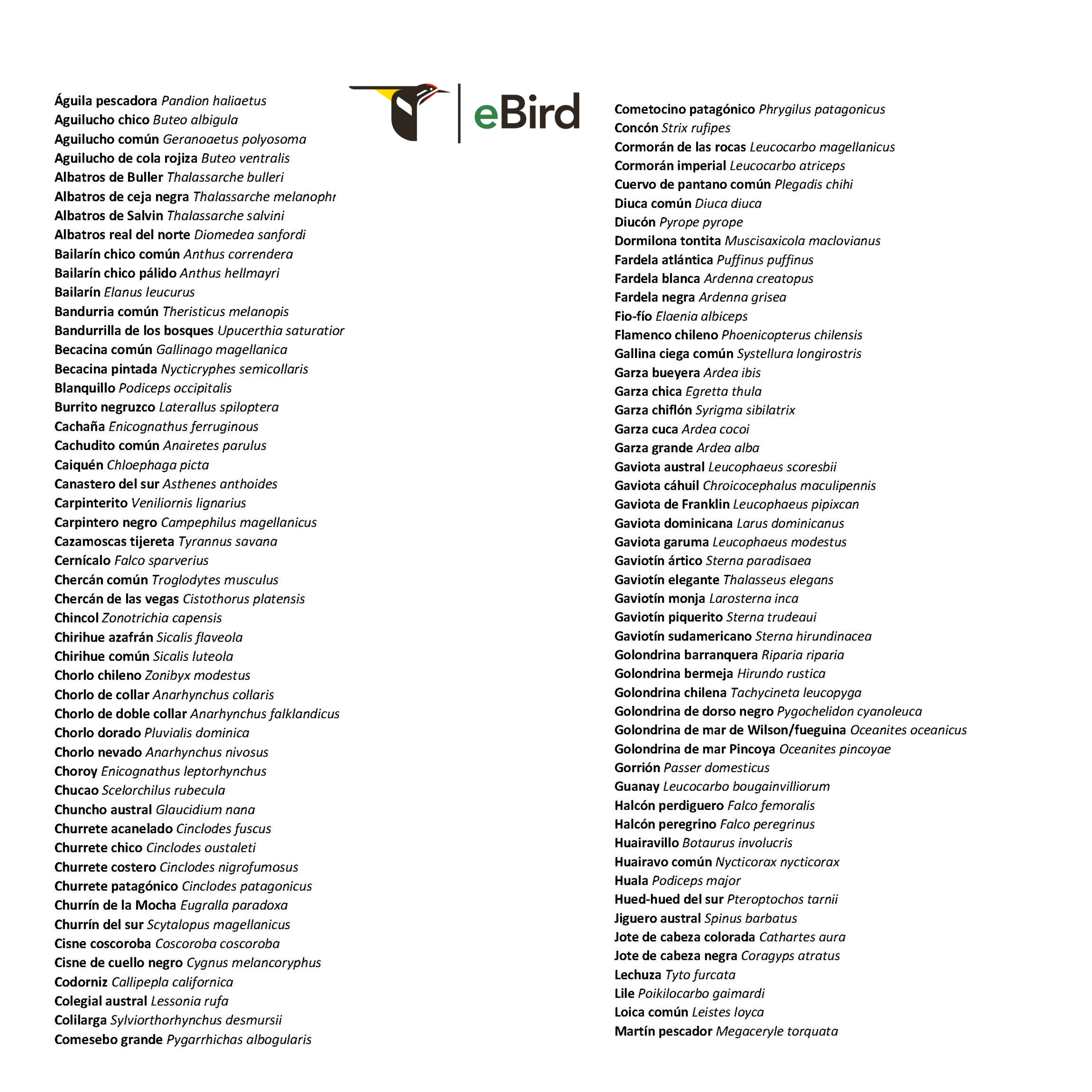 Listado de Aves presentes en la región de los ríos. Avesdevaldivia