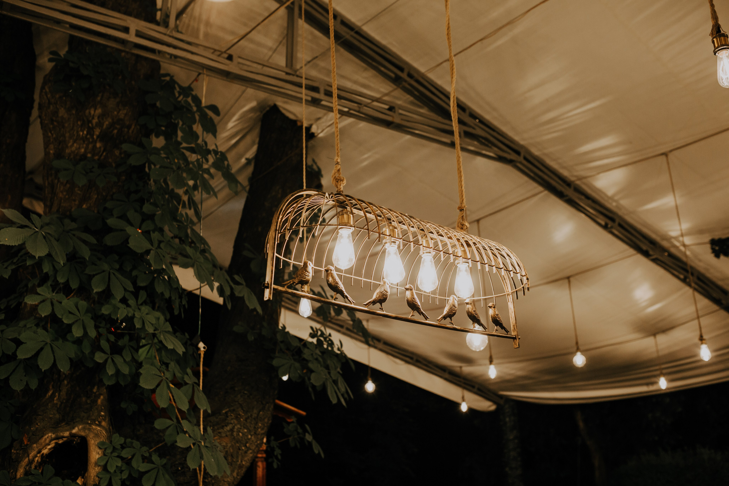 A & D. Fotograf Nunta Iasi - Hearts & Pictures