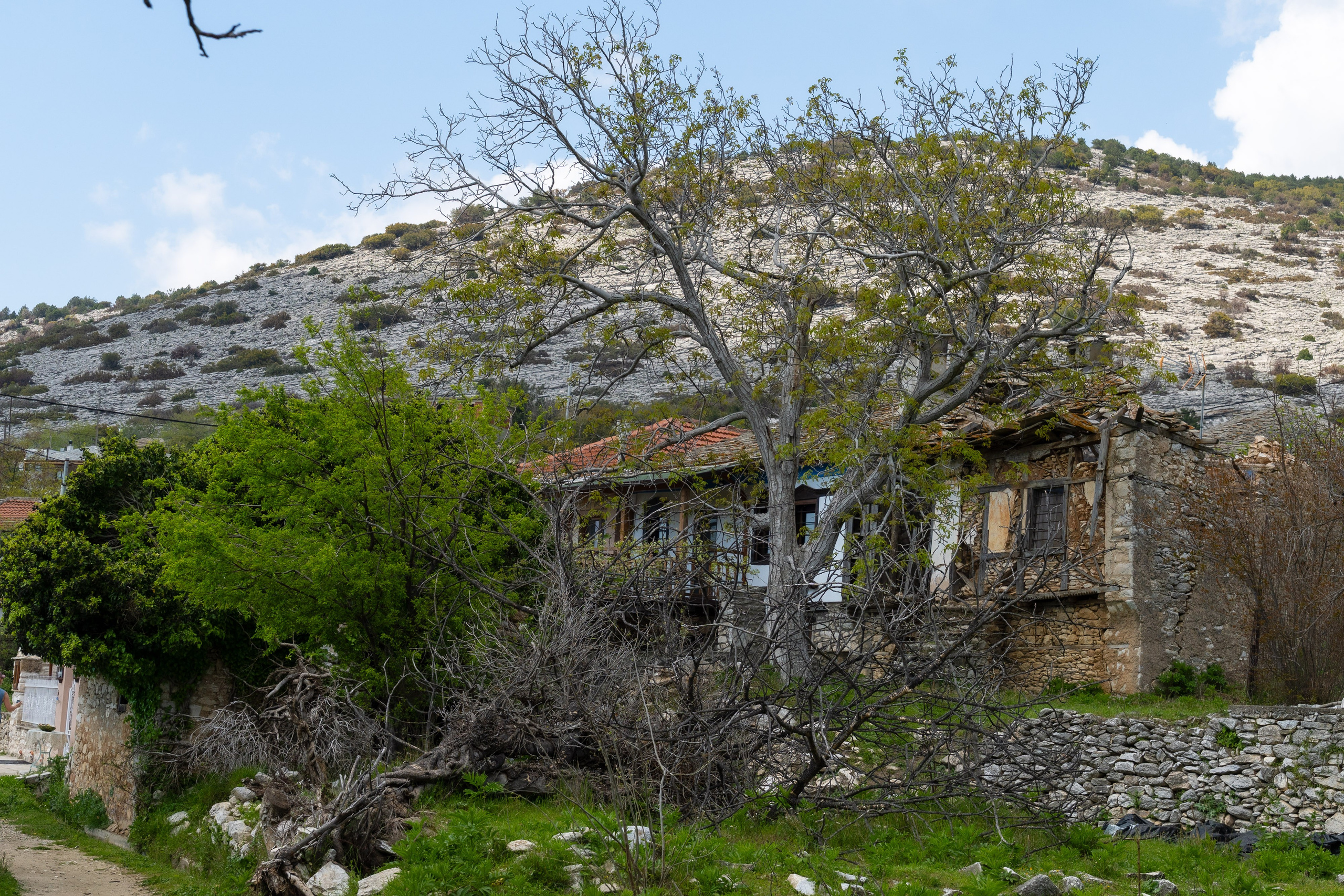 Thasos 2025. Fotografiideplacere.net