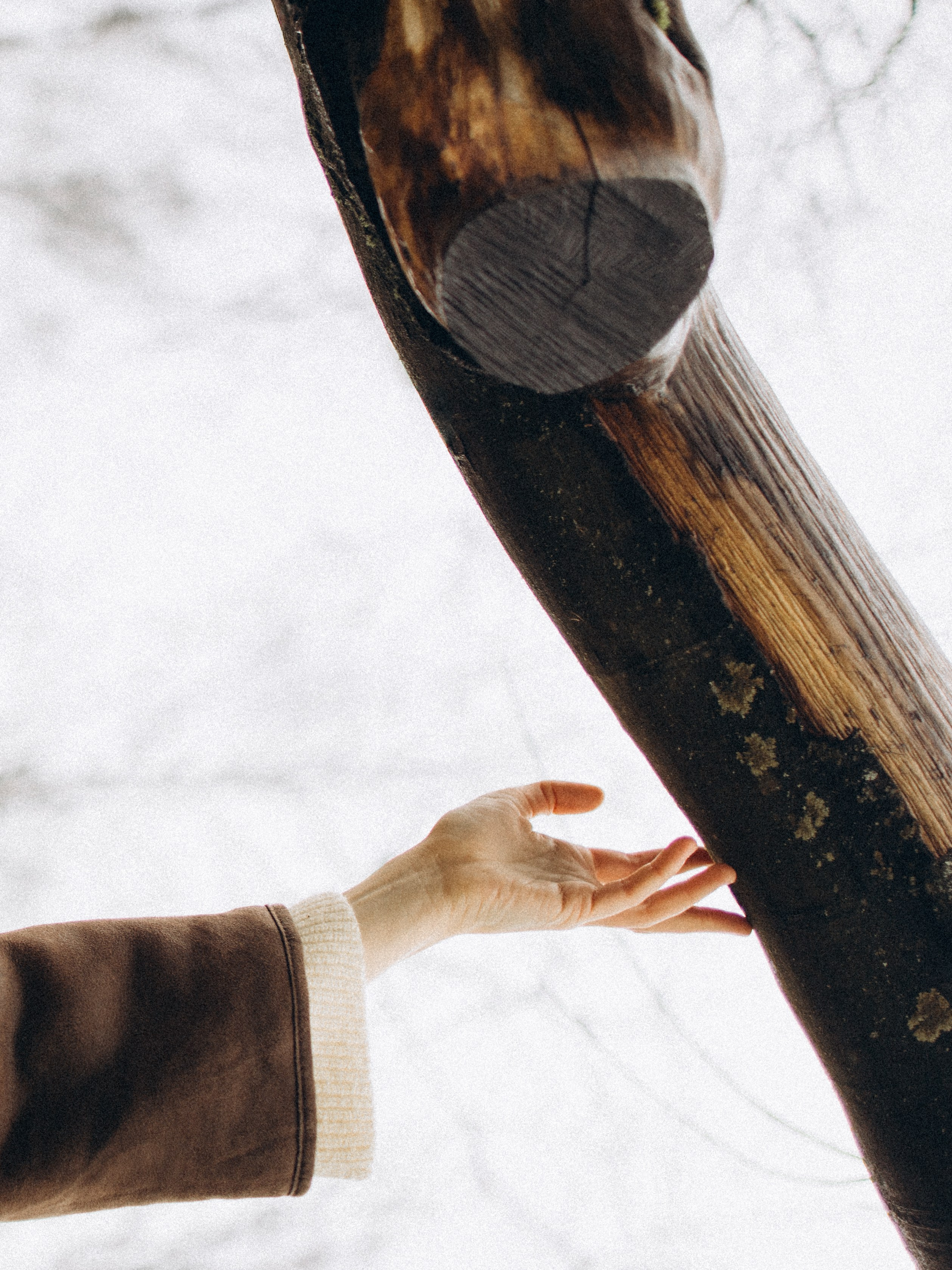 Sasha. Kristina, portrait and family photographer in Helsinki