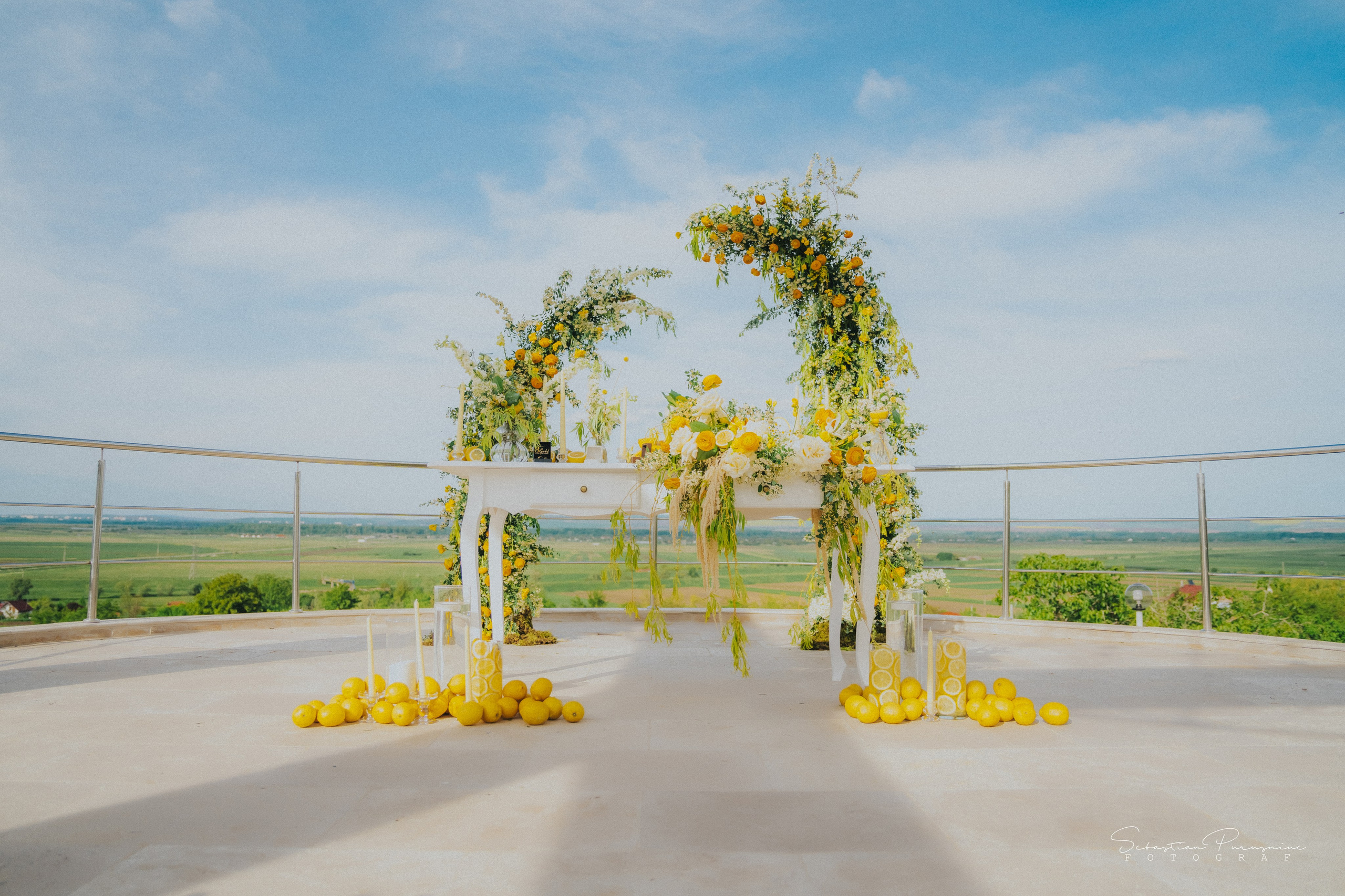 Love & Lemons. Sebastian Purusniuc Fotograf - Iasi