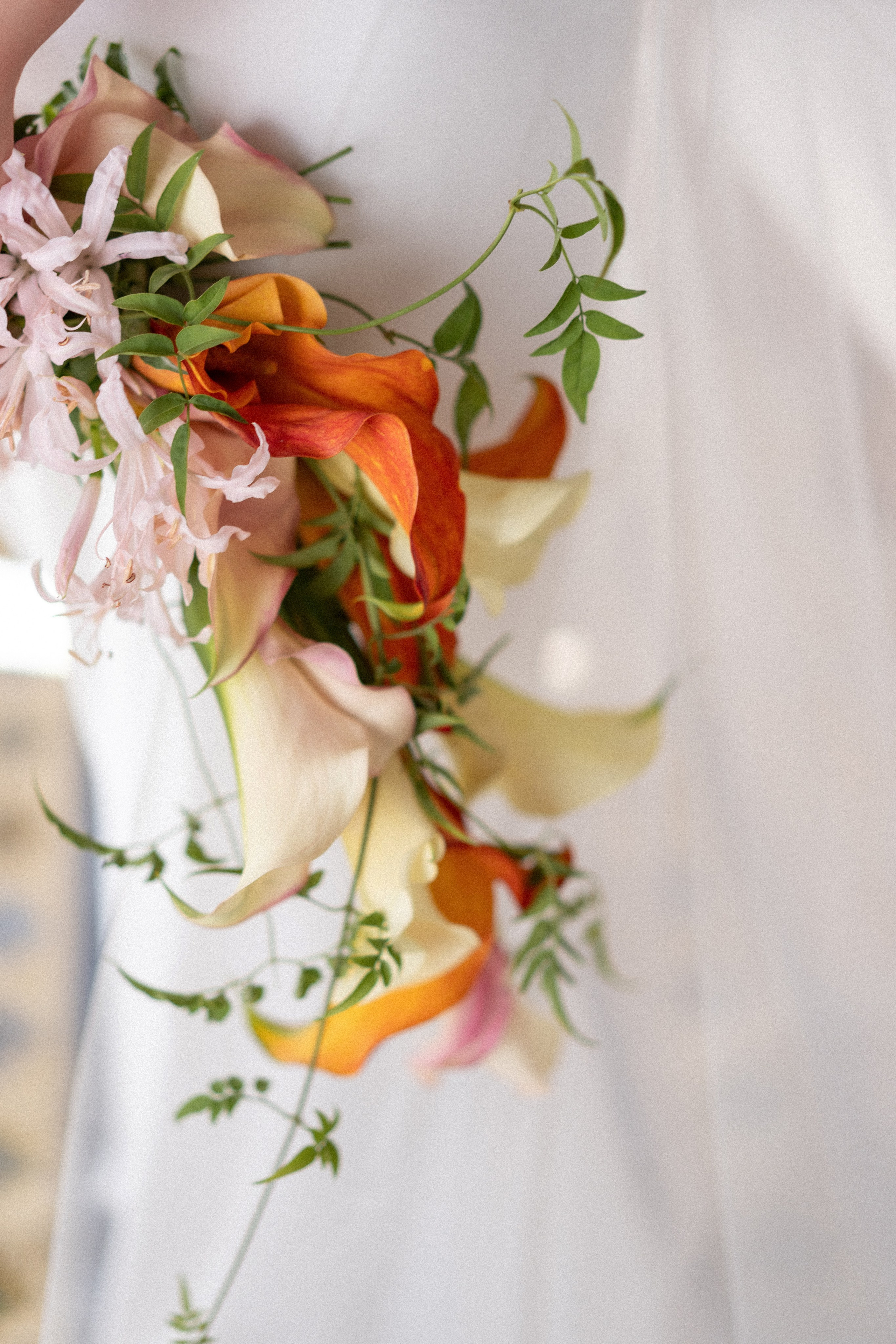 Talici Hill Wedding in Montenegro