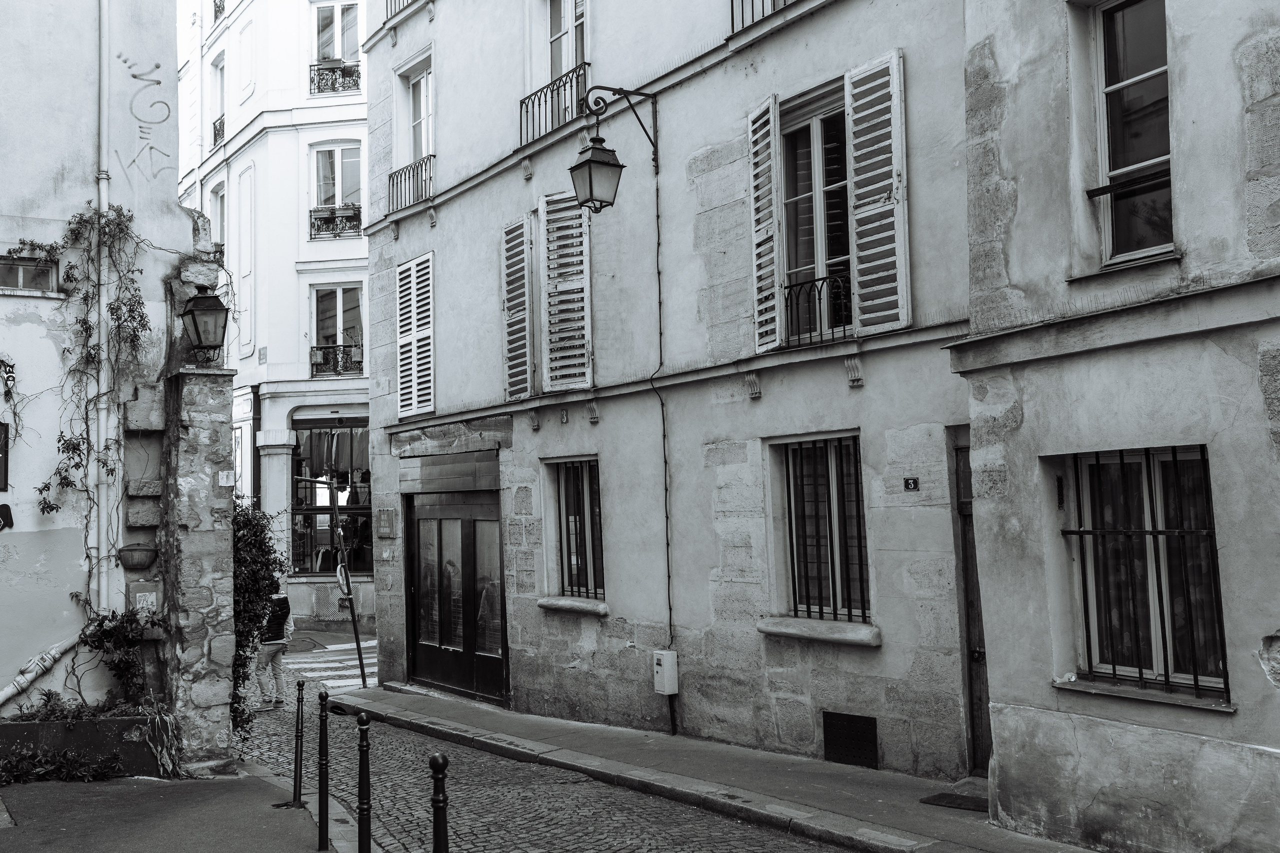 СЪЁМКА СЕБЯ_НОВЫЙ МОСТ, СИТЕ и СЕН-ЛУИ