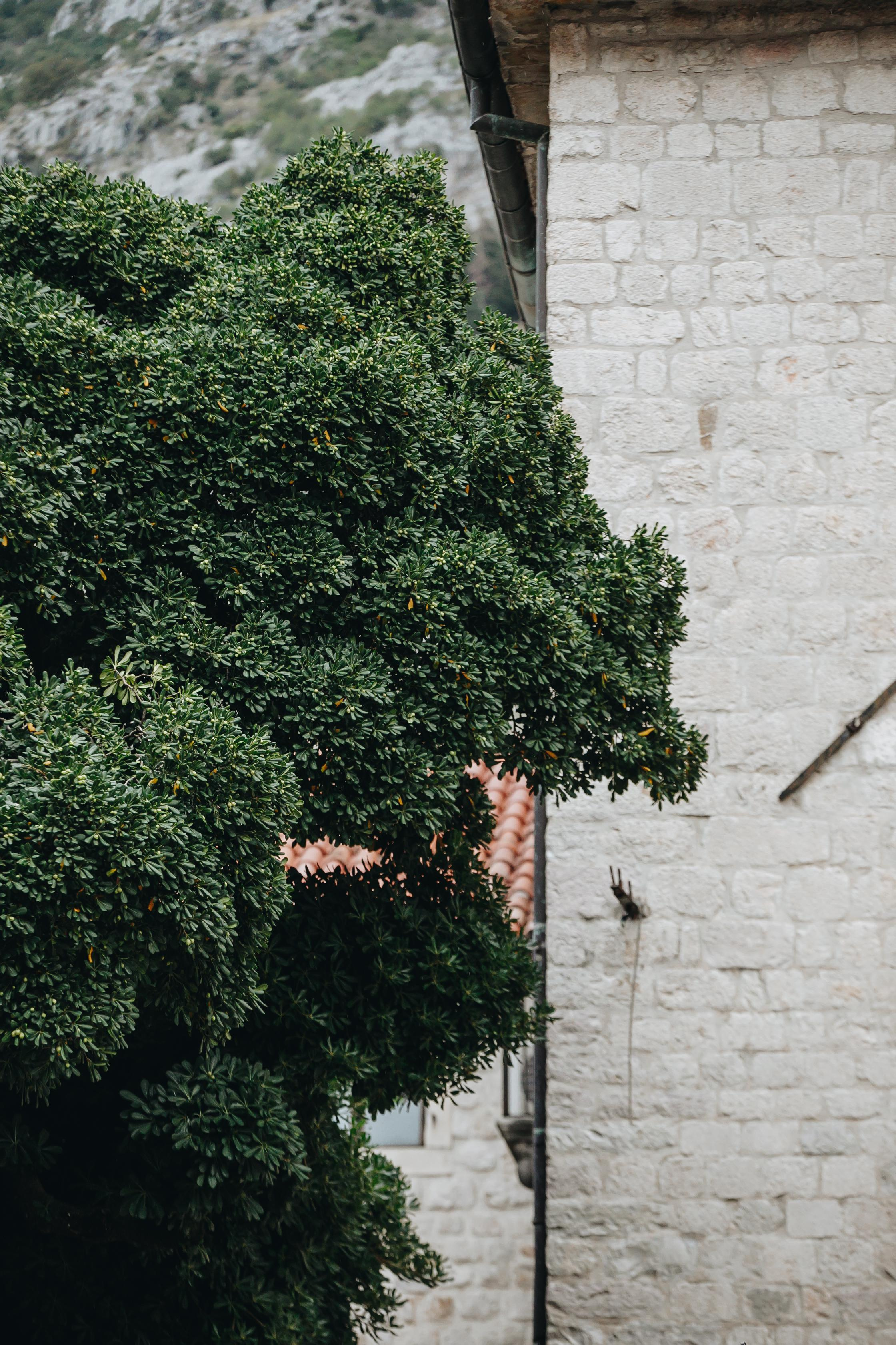 Nikolai & Anastasia — Montenegro Wedding. Iurkovski PHOTOGRAPHY in Europe. Luxury destination weddings and events