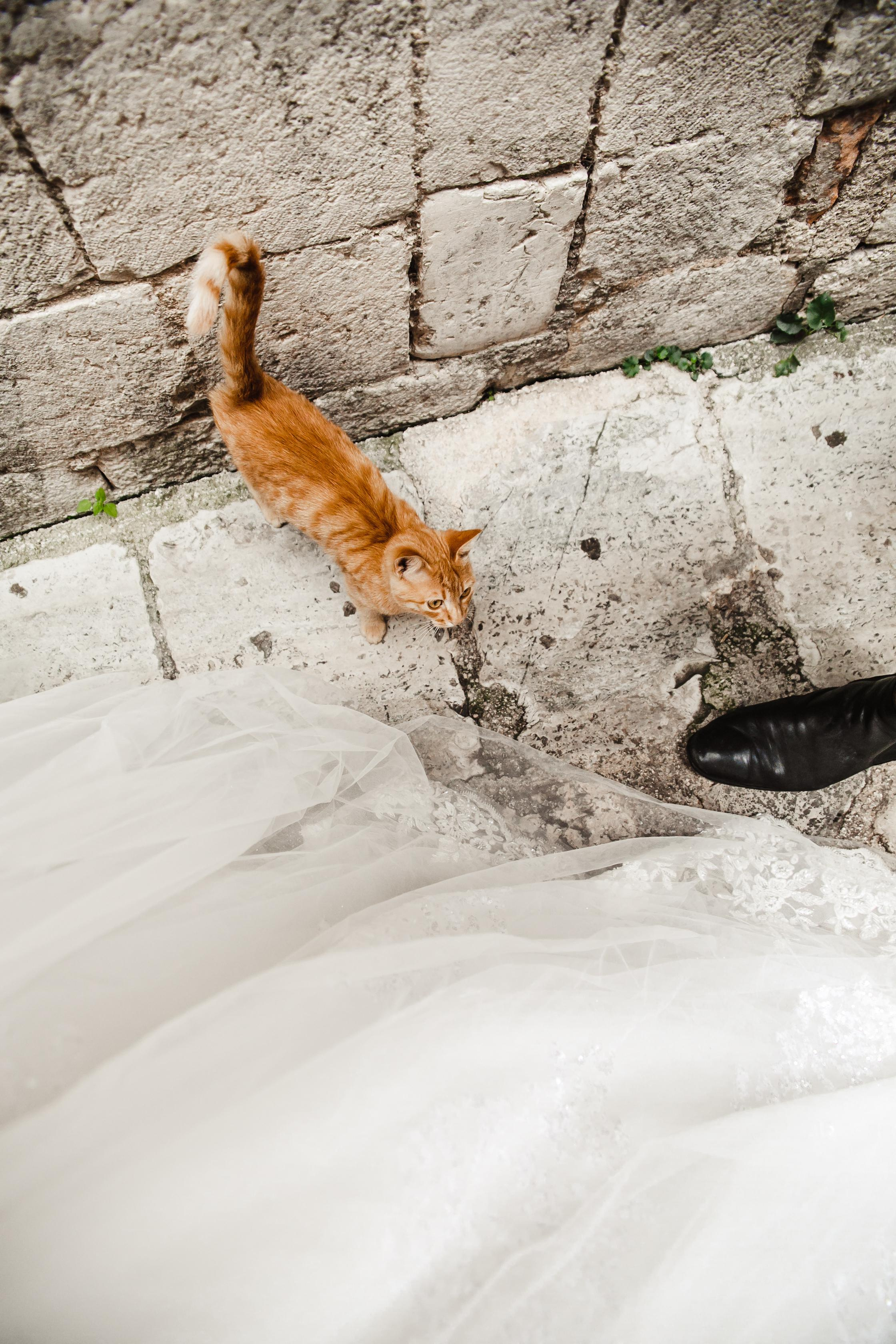 Nikolai & Anastasia — Montenegro Wedding. Iurkovski PHOTOGRAPHY in Europe. Luxury destination weddings and events