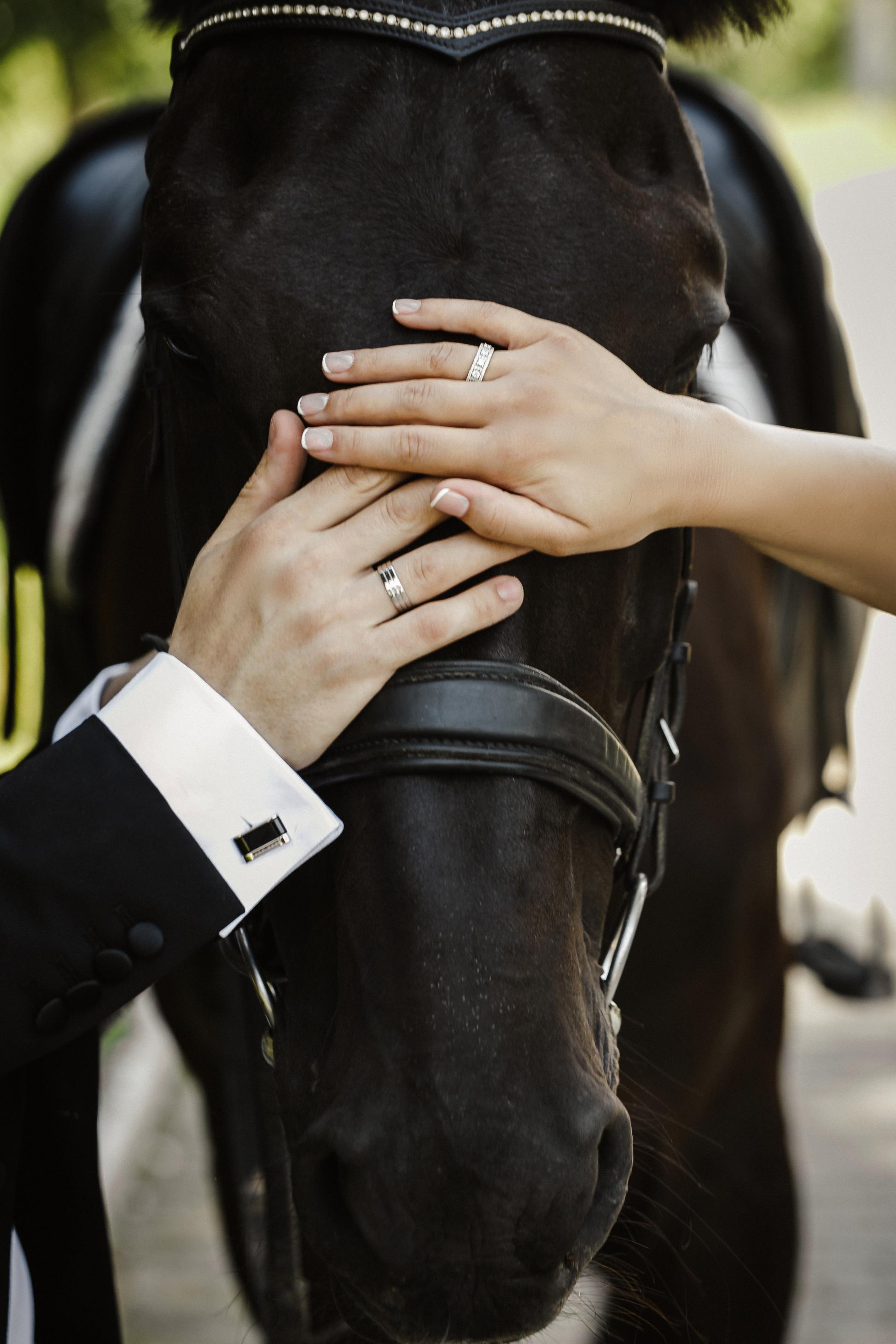 Iulian & Ekaterina — Wedding Castel Mimi/ Bernardazzi Hotel/Richland. Iurkovski PHOTOGRAPHY in Europe. Luxury destination weddings and events