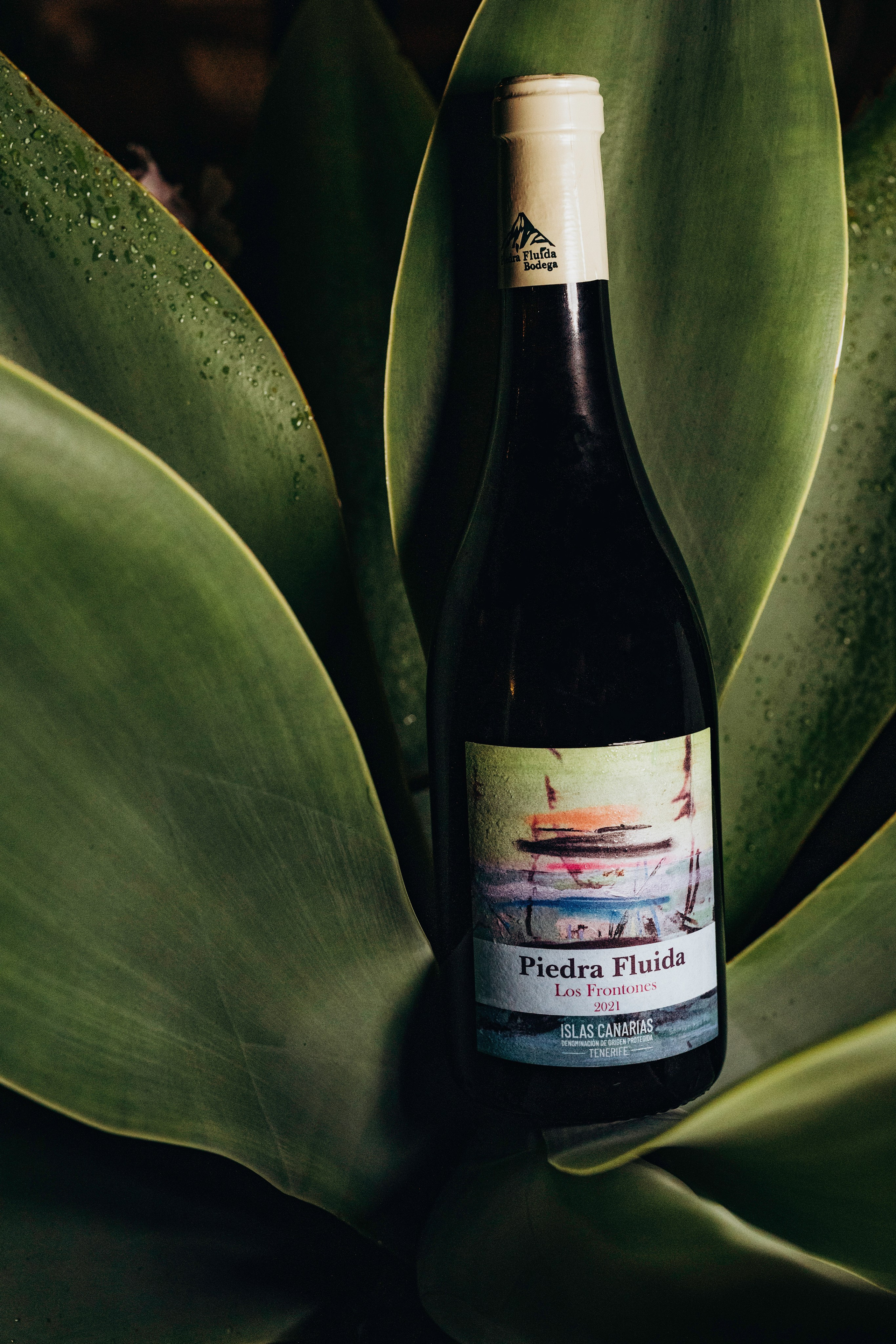 Eventos. Fotógrafo en Tenerife Edgar Zubarev