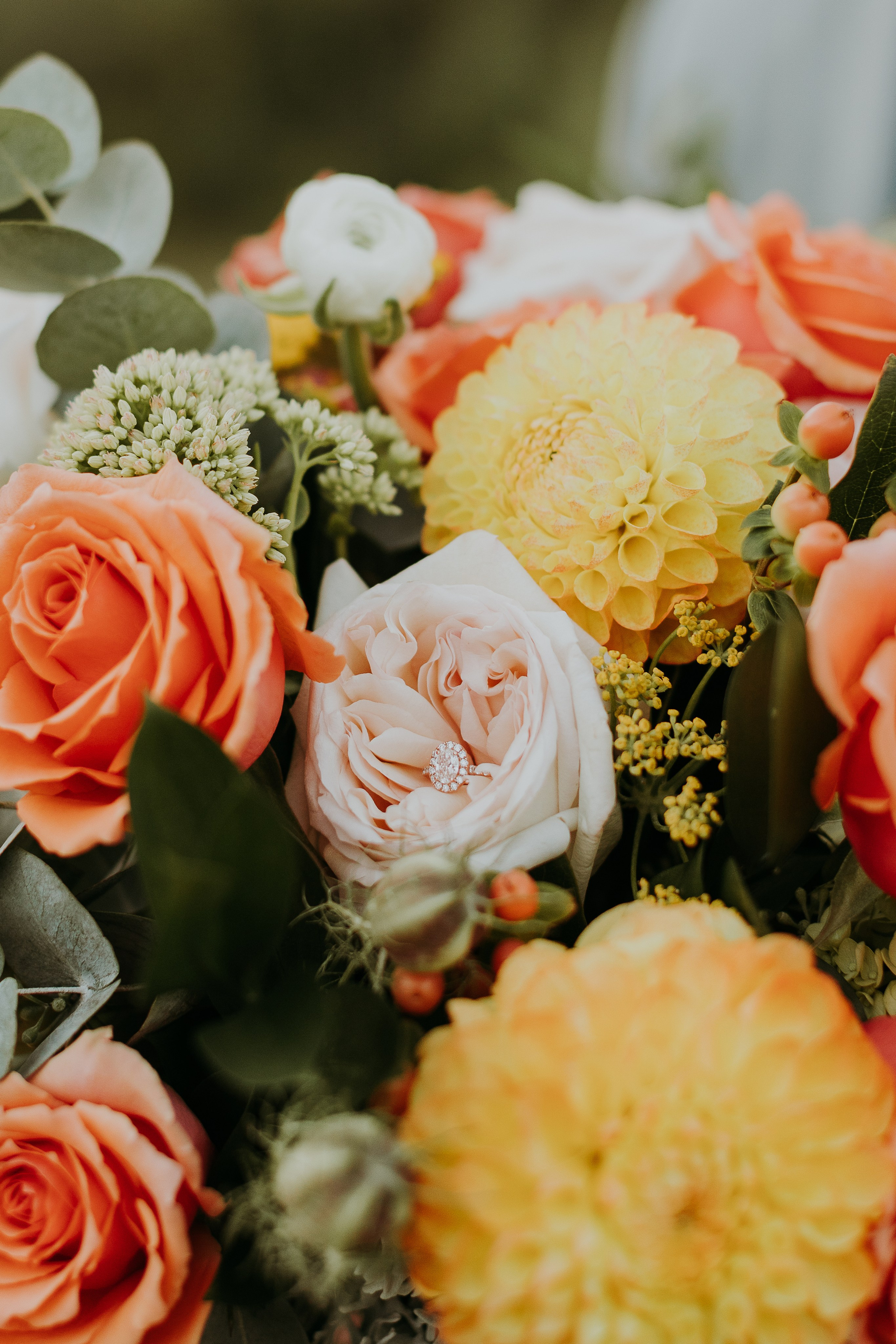 Hannah + Brendan. Utah Family Photographer