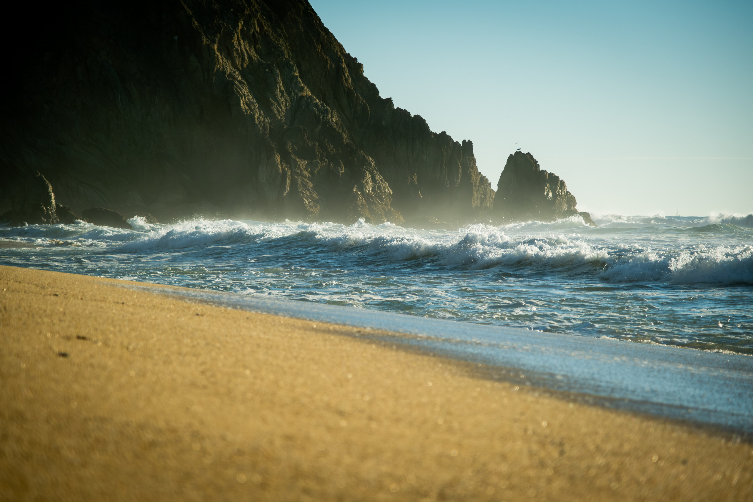 NATURE. Reportage concert portrait photography in the San Francisco Bay Area
