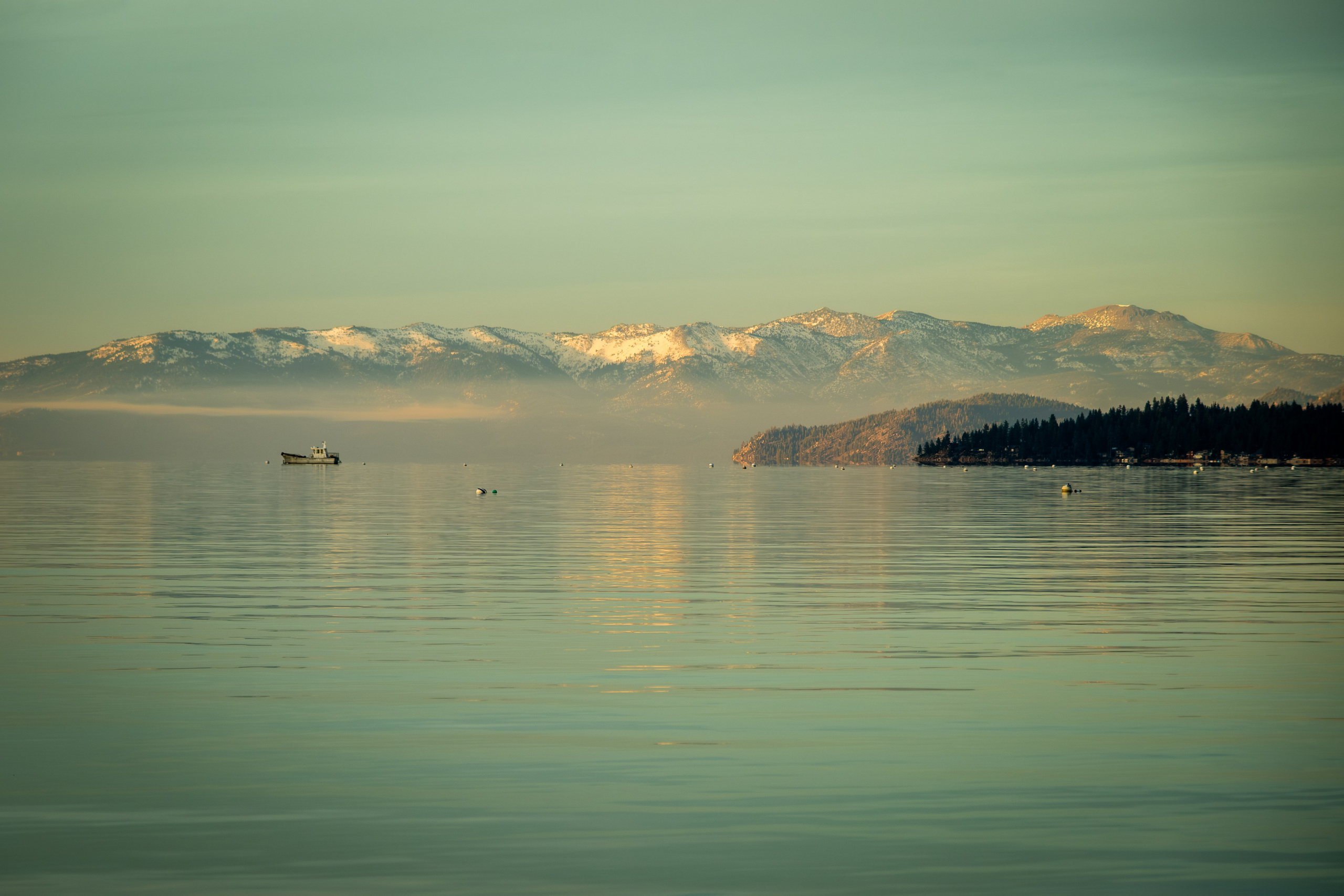 TAHOE. Reportage concert portrait photography in the San Francisco Bay Area