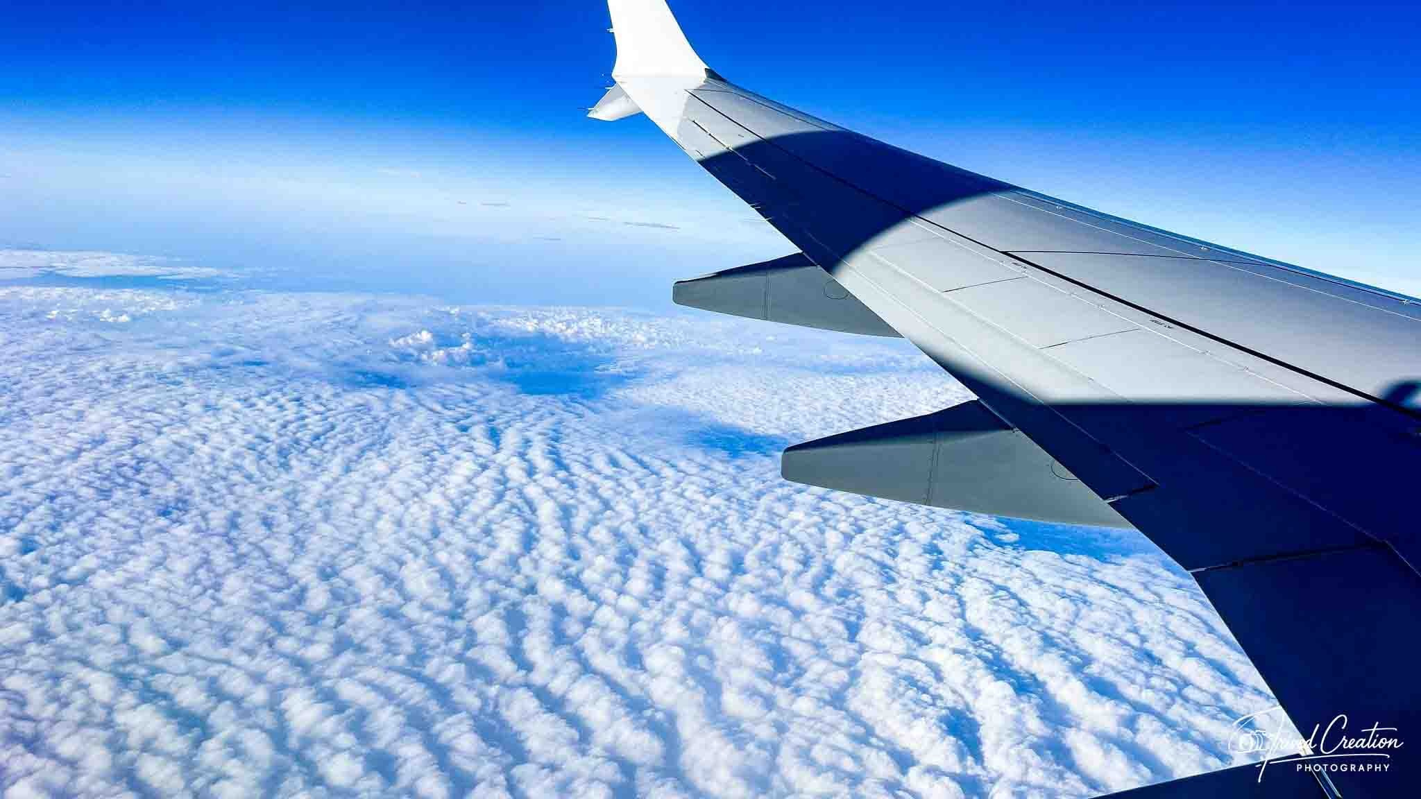 Landscape & Nature. Prived Creation