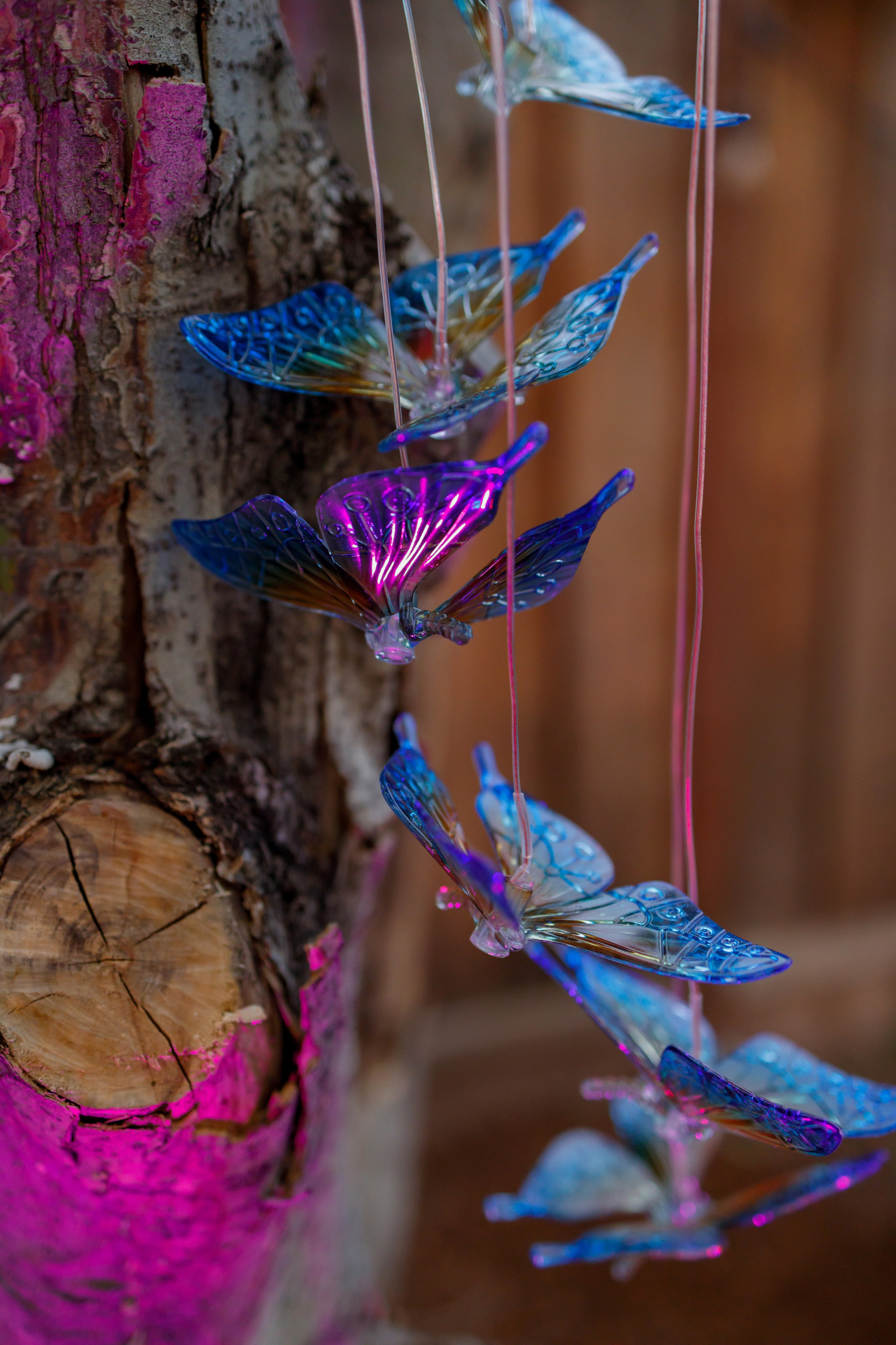 Evening event. Family and Event photographer in Bay Area Elena Tiuriumina