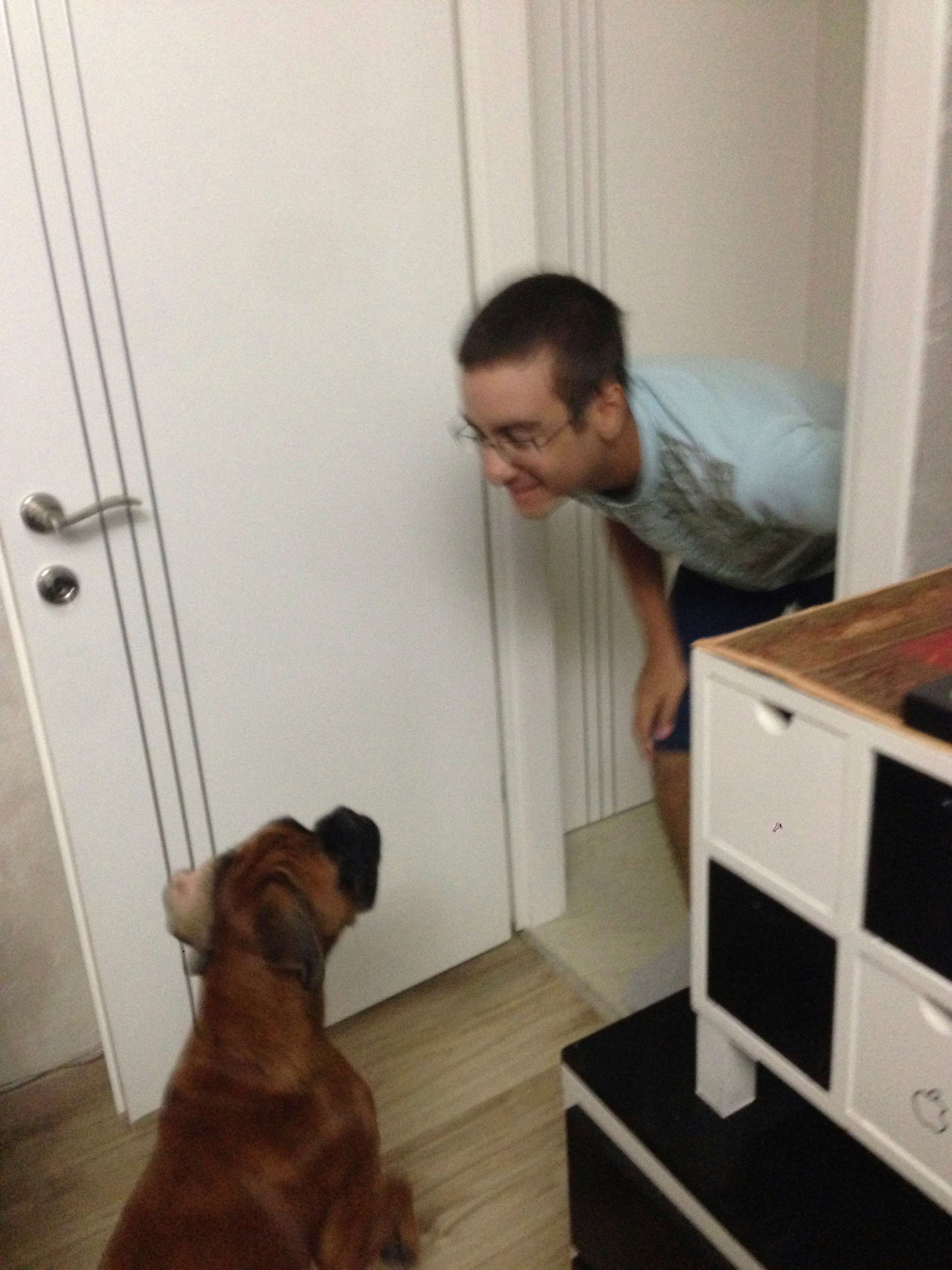 My ״Star״ Boxer Dog