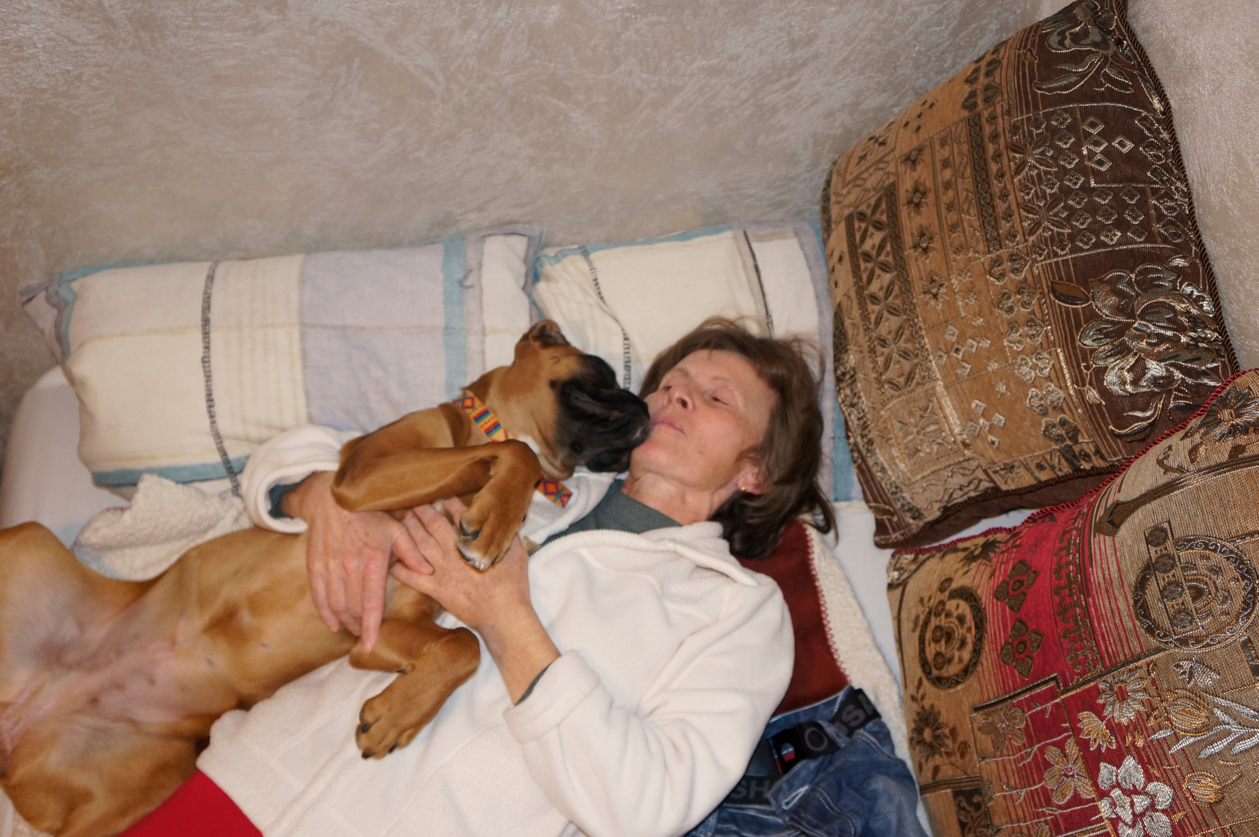 My ״Star״ Boxer Dog