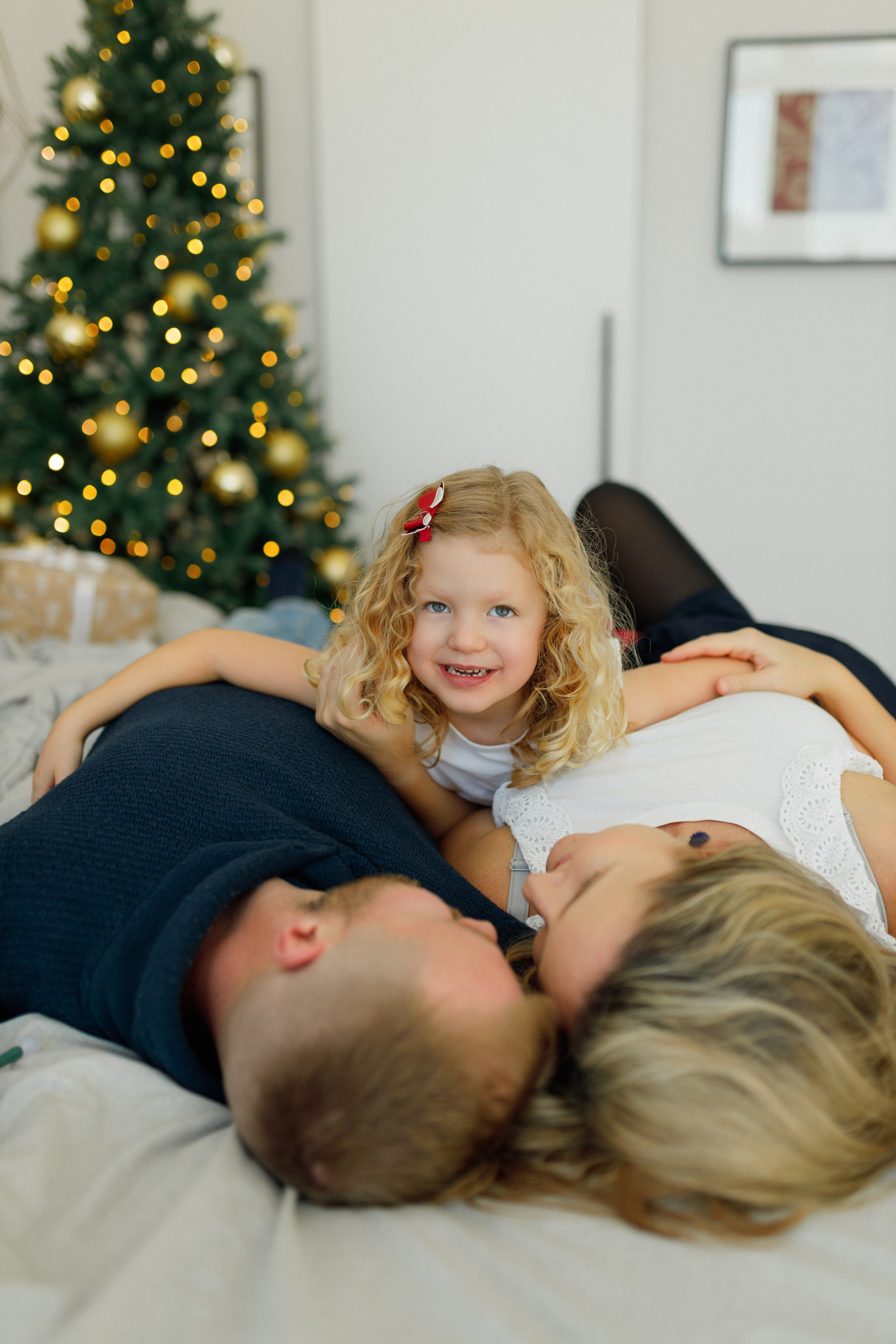 Christmas minis 2025. Home