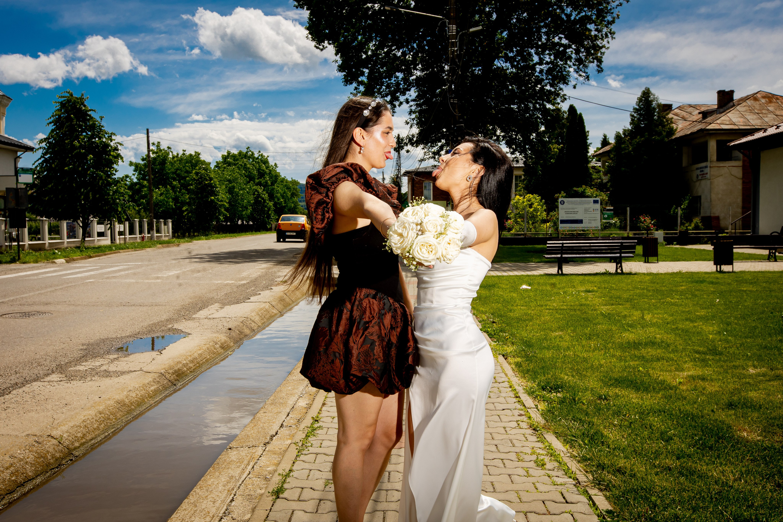 Cosmina & Răzvan. MGS STUDIO