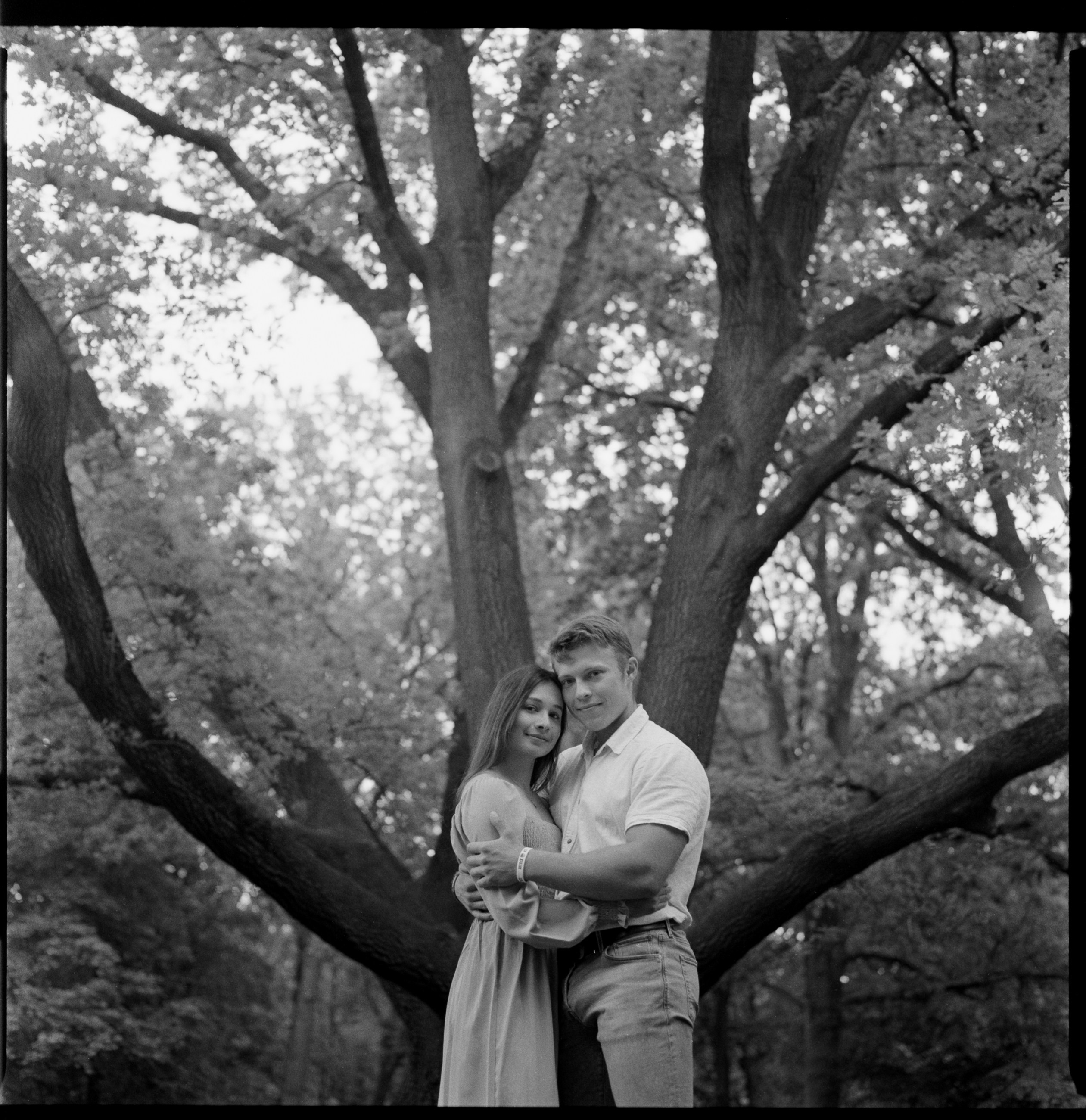 Couple portrait under a large tree, medium format analog photography, Bodensee