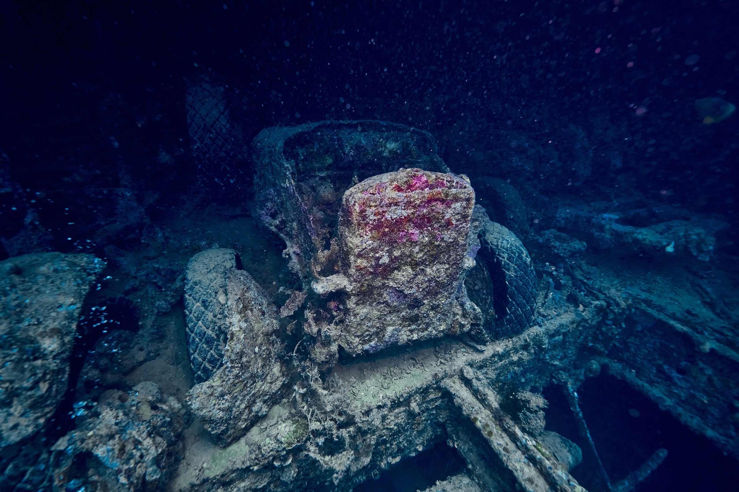 Podwodny fotograf - Andriej Szypiłow - zdjęcia wraków. Andriej Szypilow - Fotografia & Wideografia