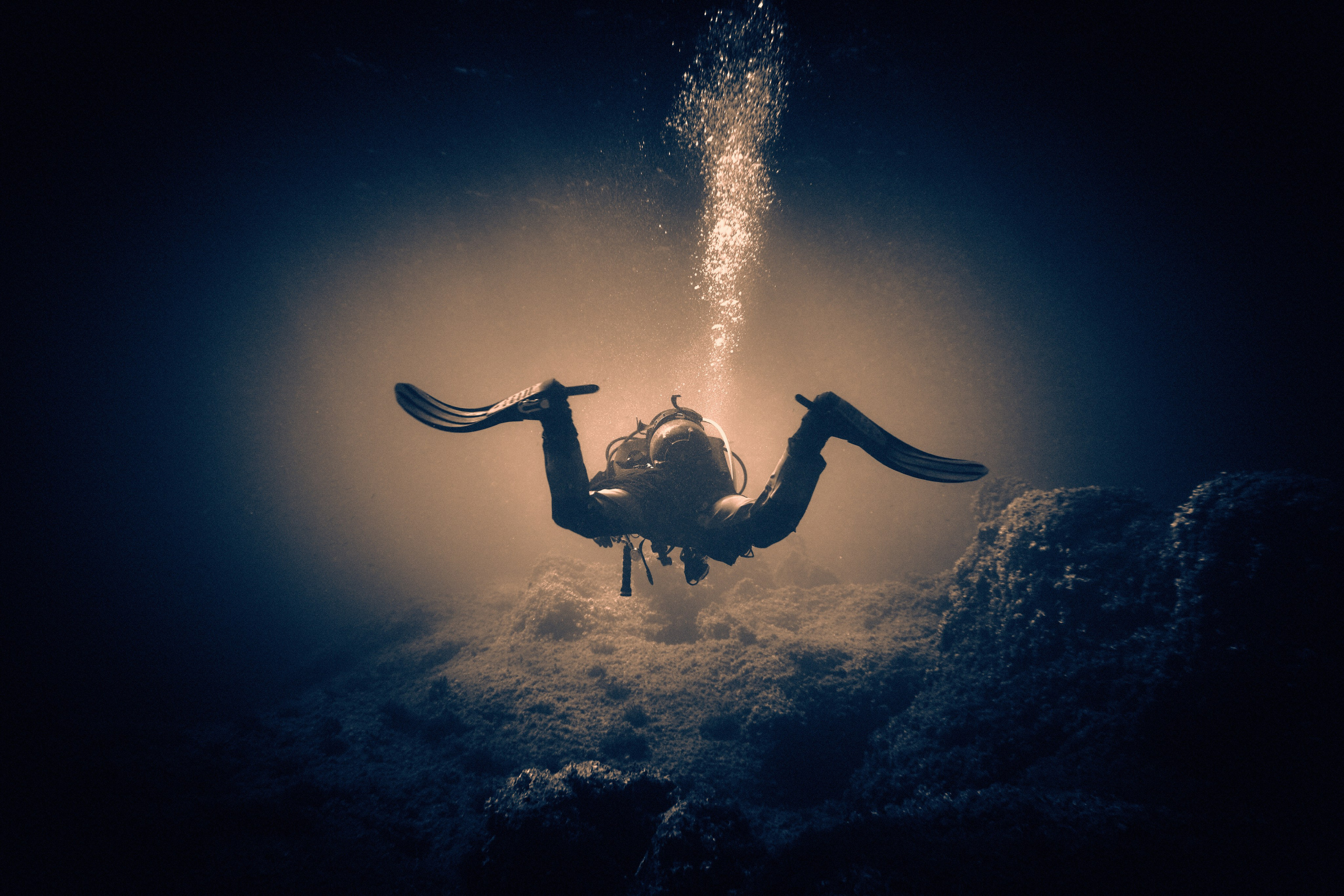 Fotograf podwodny Andriej Szypiłow. Андрей Шипилов — Фотография & Видеография