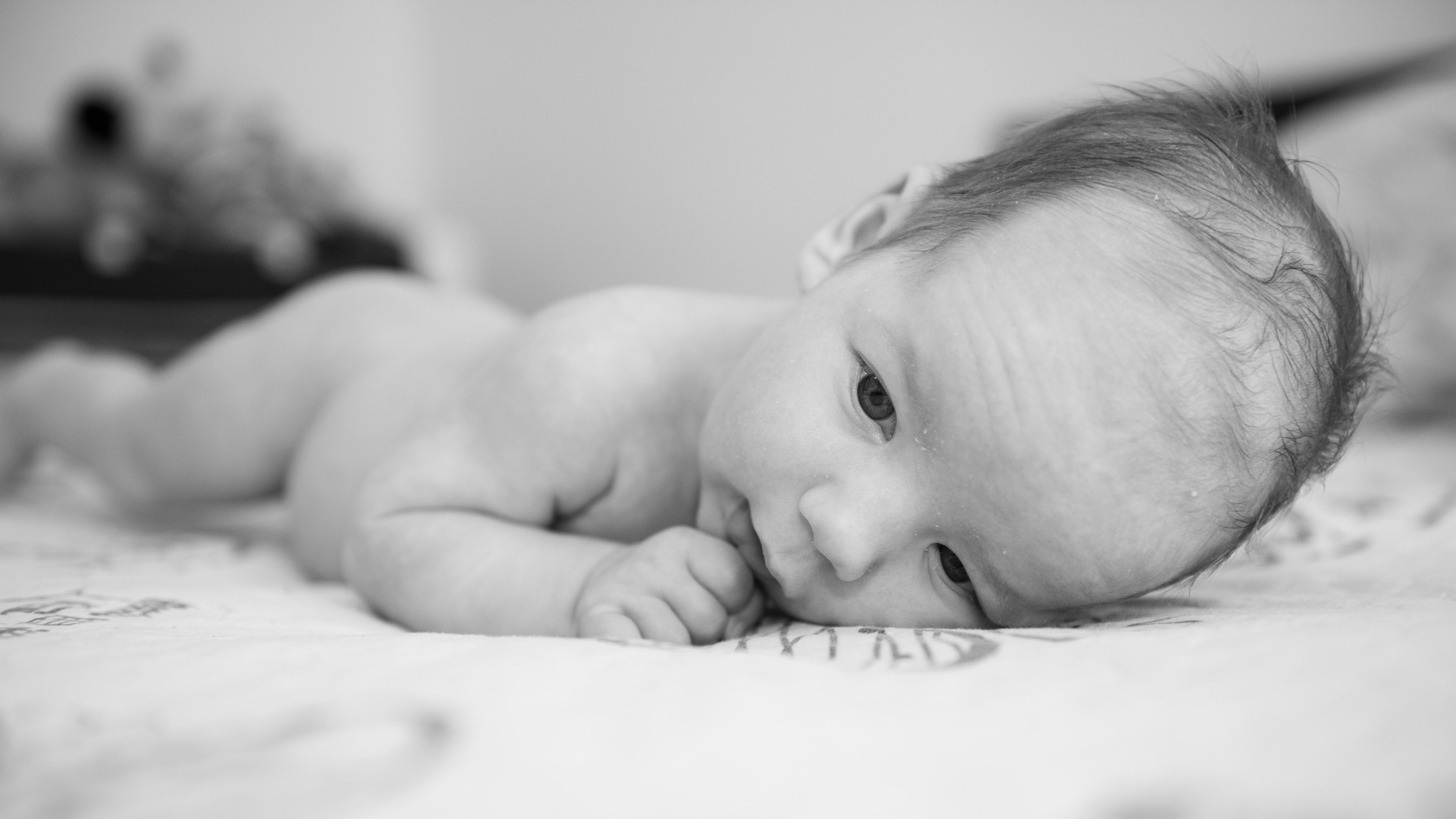 Denis Andrei. Daniel Rotaru Photography