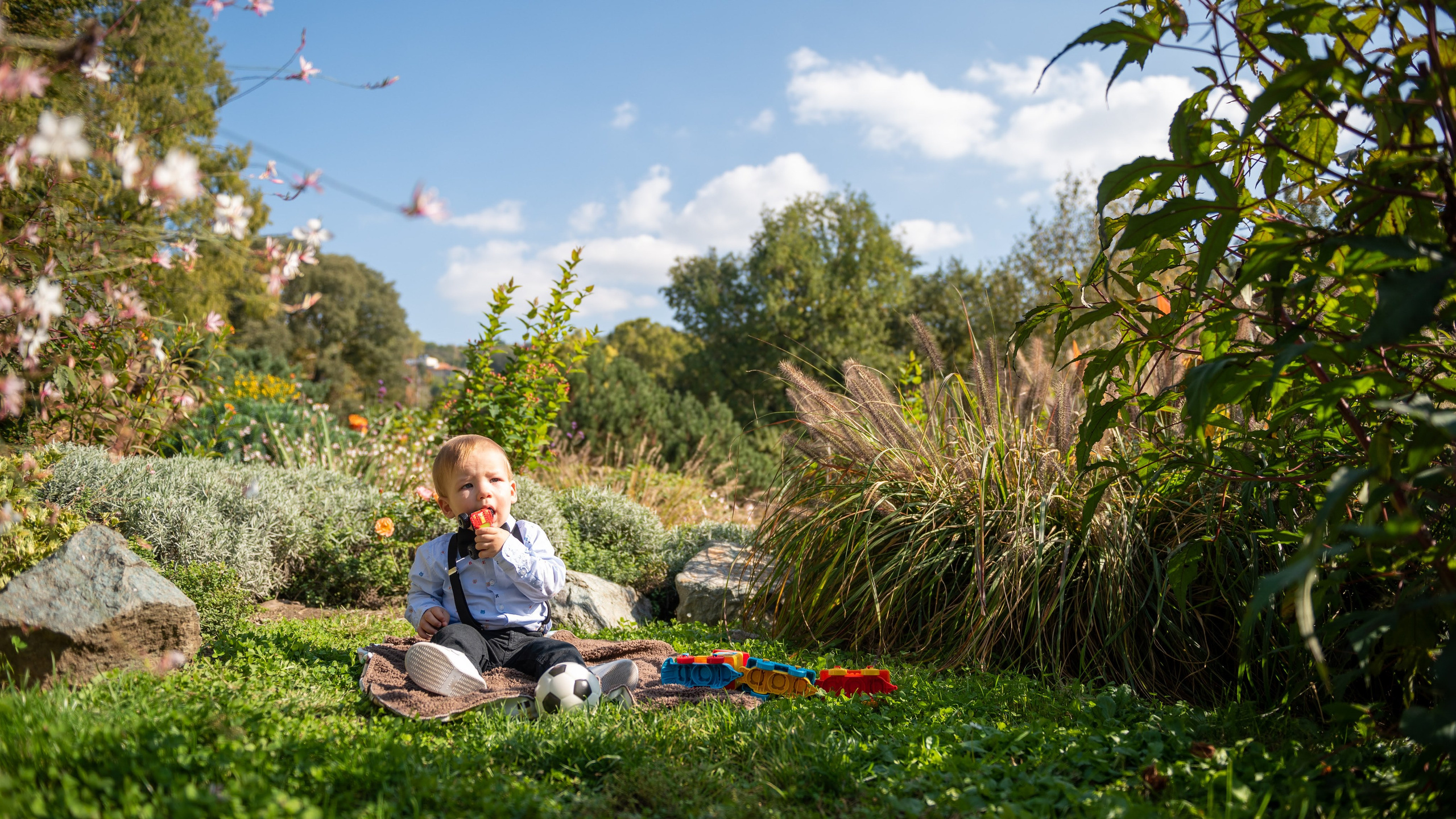 Denis Andrei. Daniel Rotaru Photography