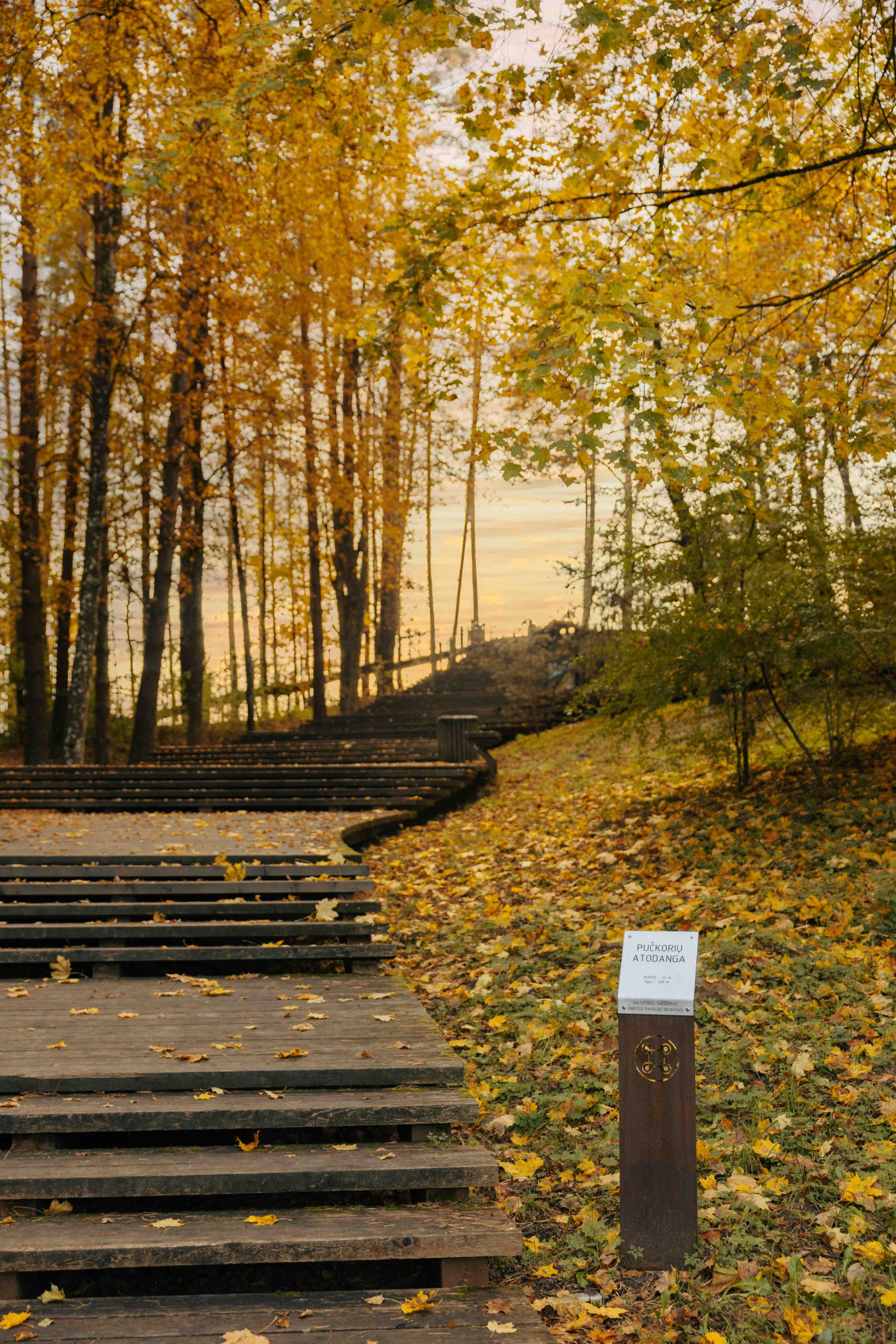 Best Autumn Photoshoot Locations in Vilnius: Top Spots to Capture the Fall Colors. Framed by Evelina | Destination Wedding Photographer from Lithuania | Europe