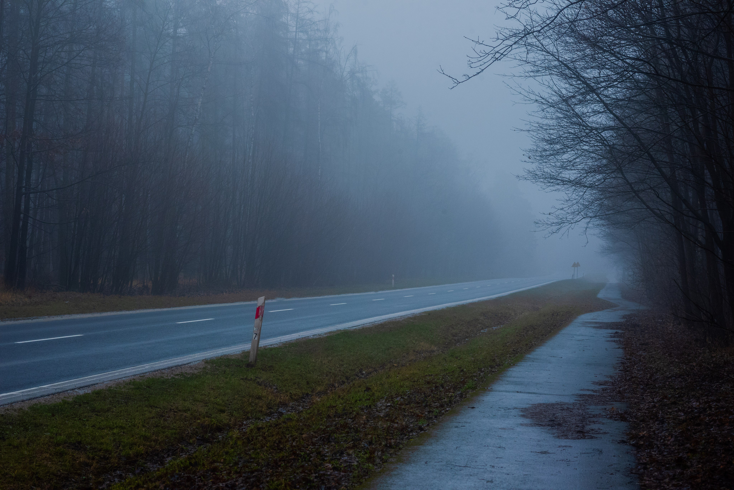 Туман в полях. Kindshephoto Женский и семейный фотограф Москва
