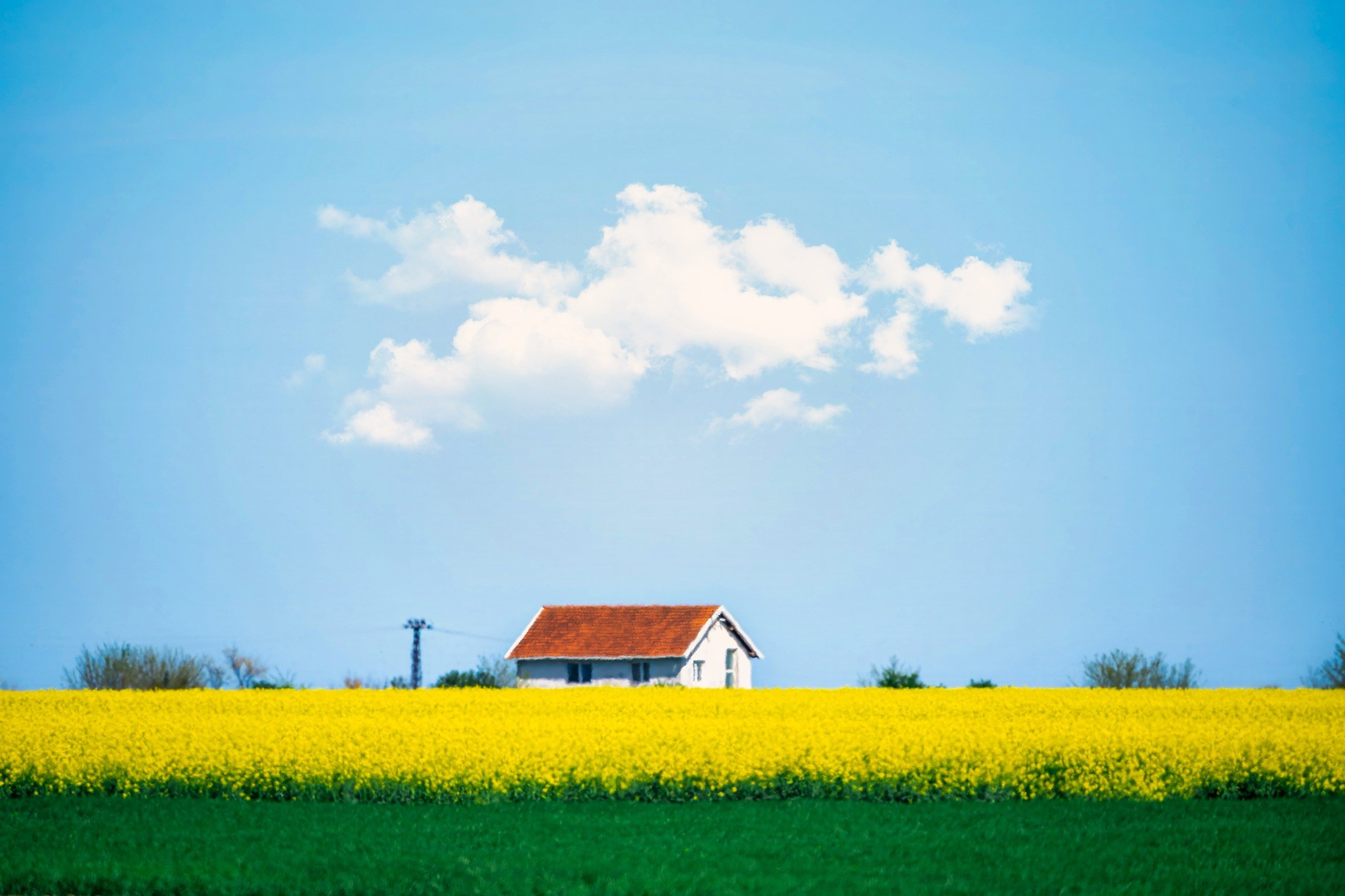 Landscape photography. Wedding photography