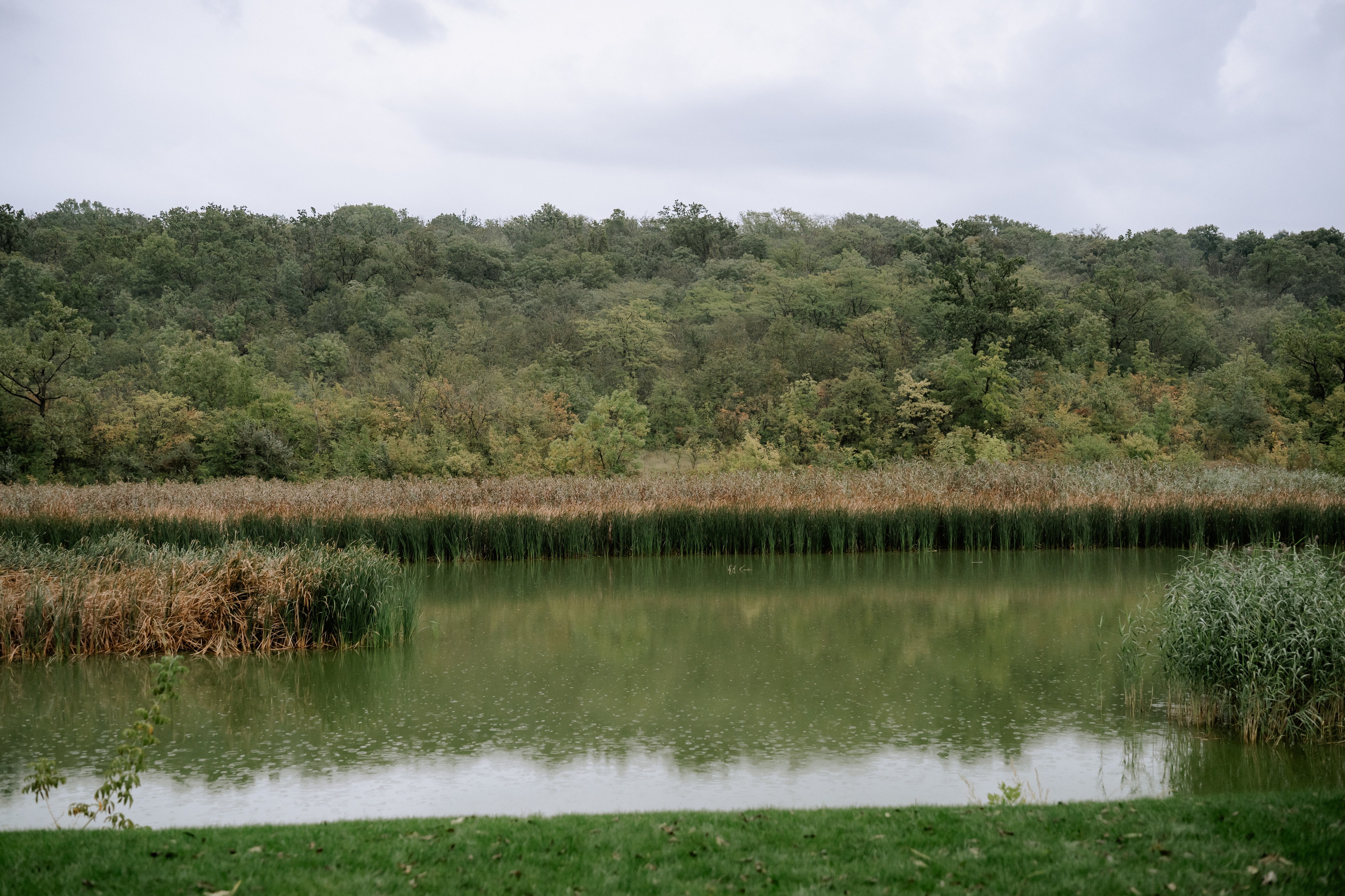 Ioana + Ioan | Wedding day. Proud Vision Weddings | Wedding Photography & Film — Servicii profesionale Foto Video Nunta Iasi