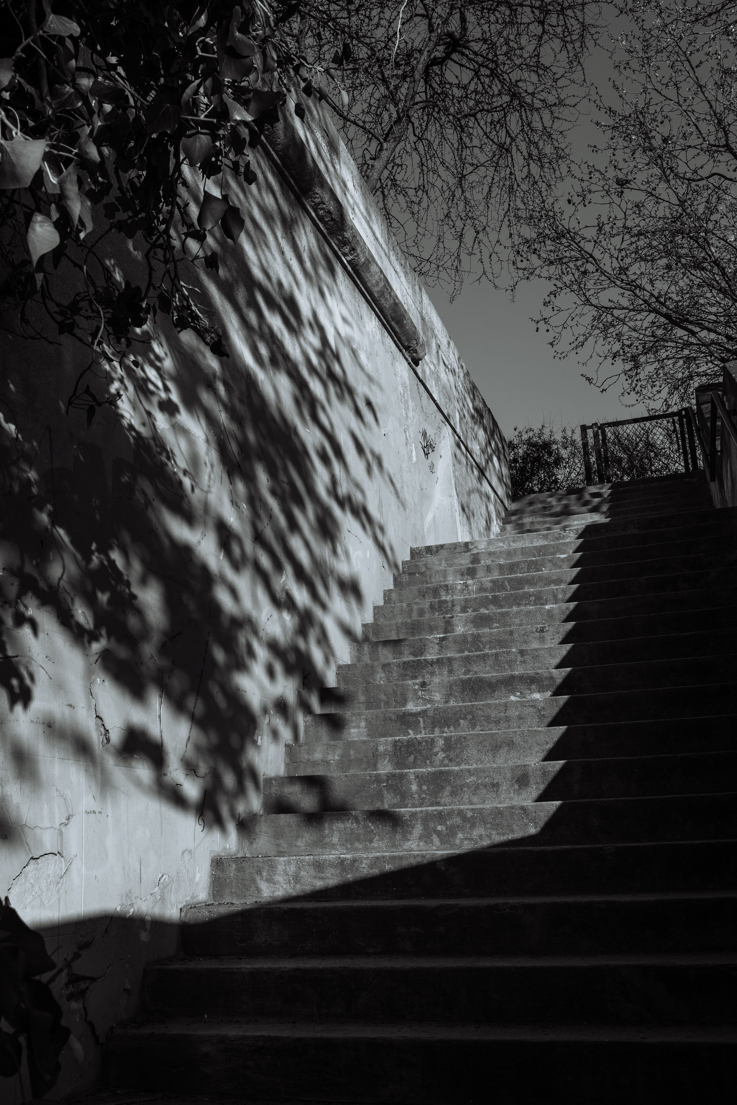 СЪЁМКА СЕБЯ_НОВЫЙ МОСТ, СИТЕ и СЕН-ЛУИ