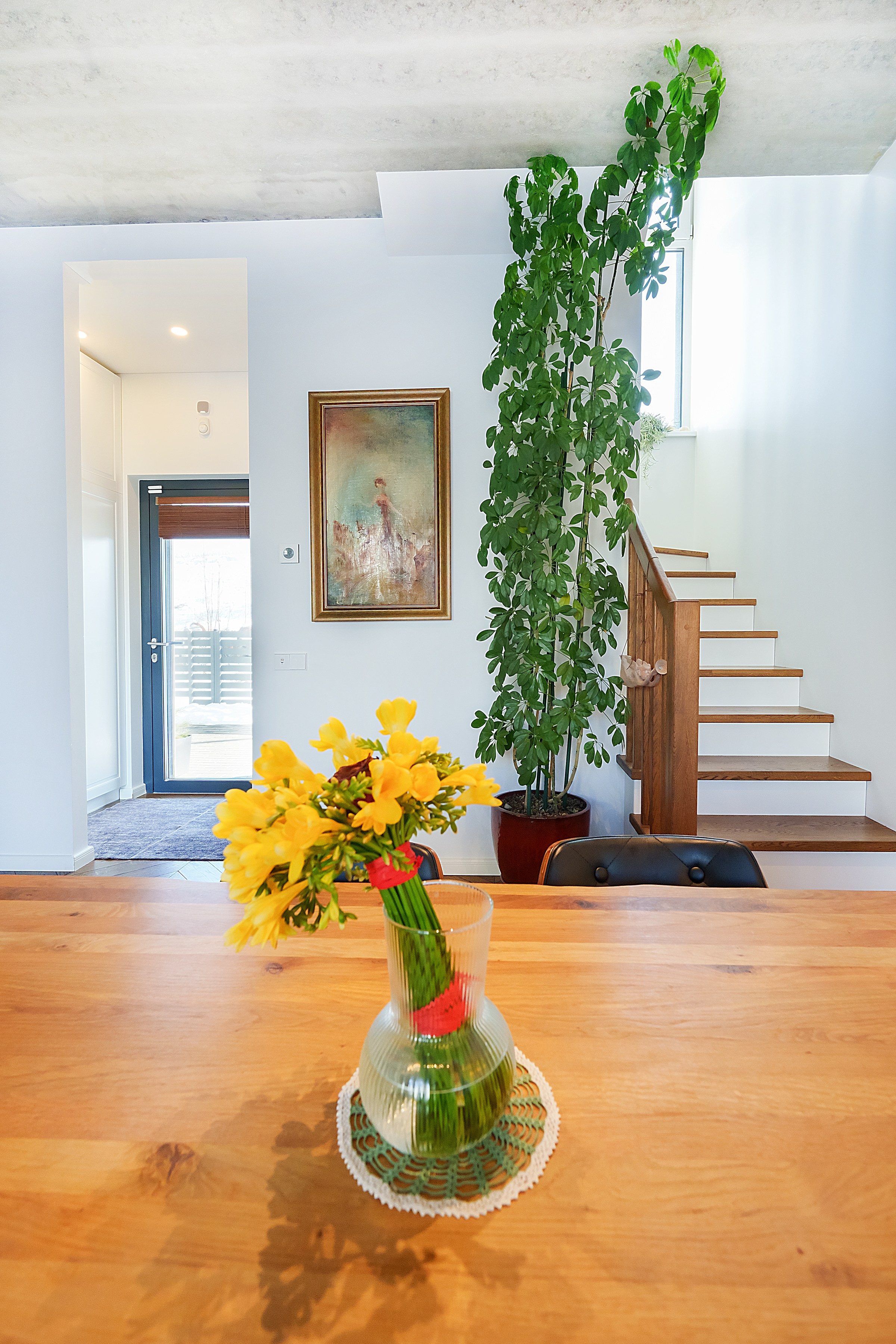 Ginetiškės, Pakonių g. Elina Sapiega fotografė Vilniuje