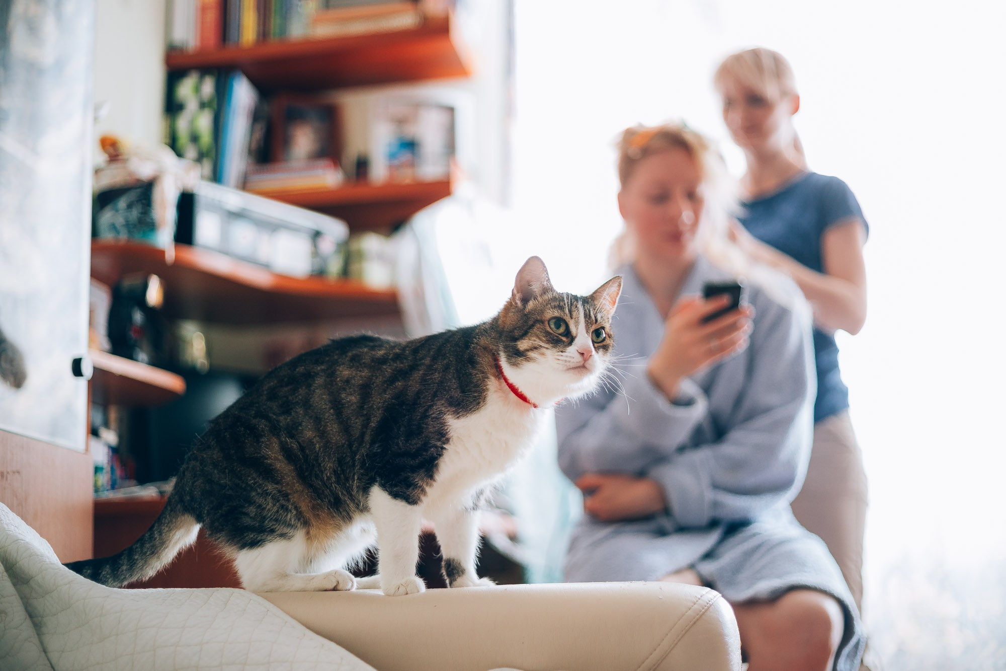 Weddings. Alexander Kabanov Photographer